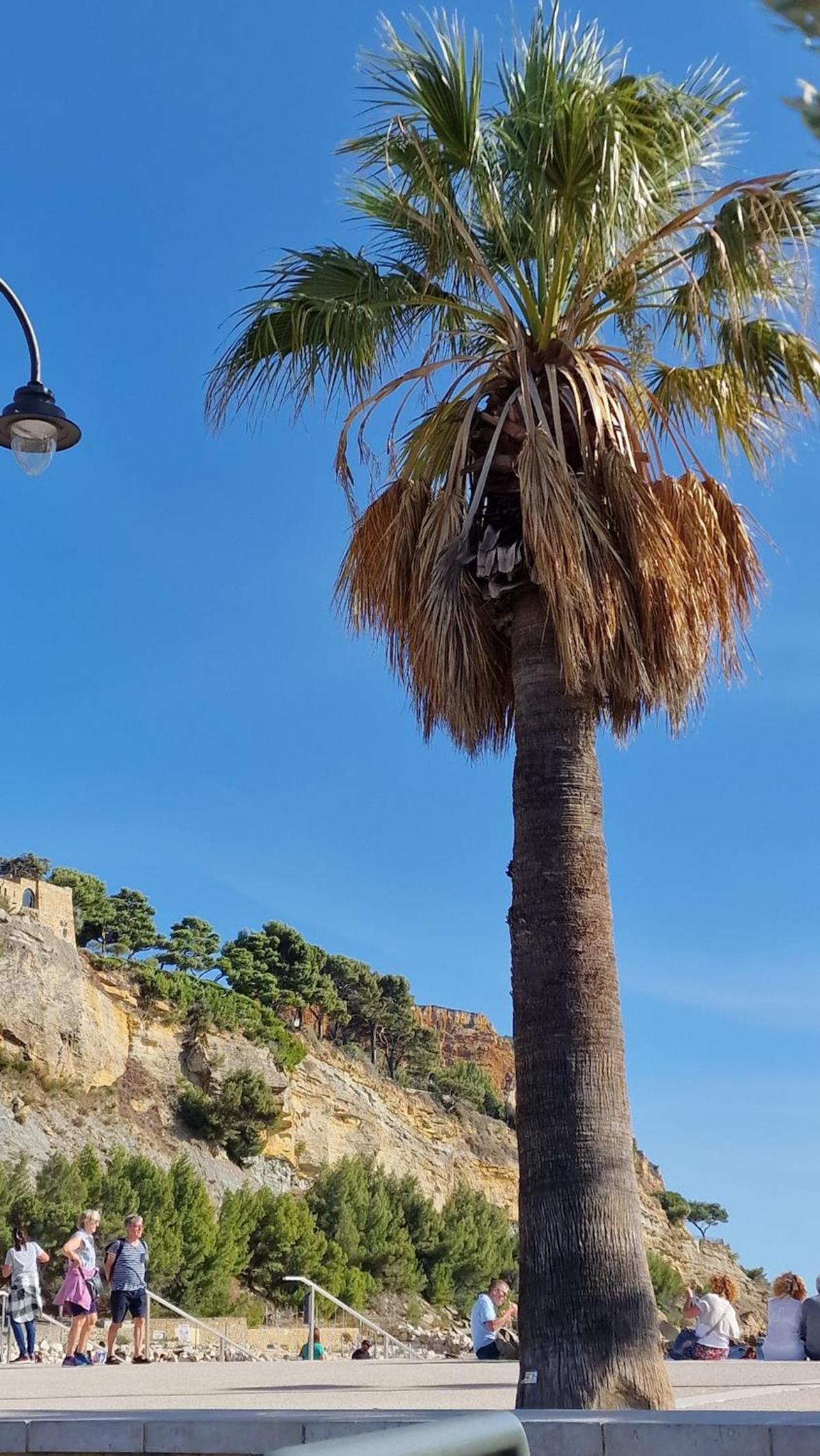 LE MUGEL cocooning SPA et proche calanques de Cassis