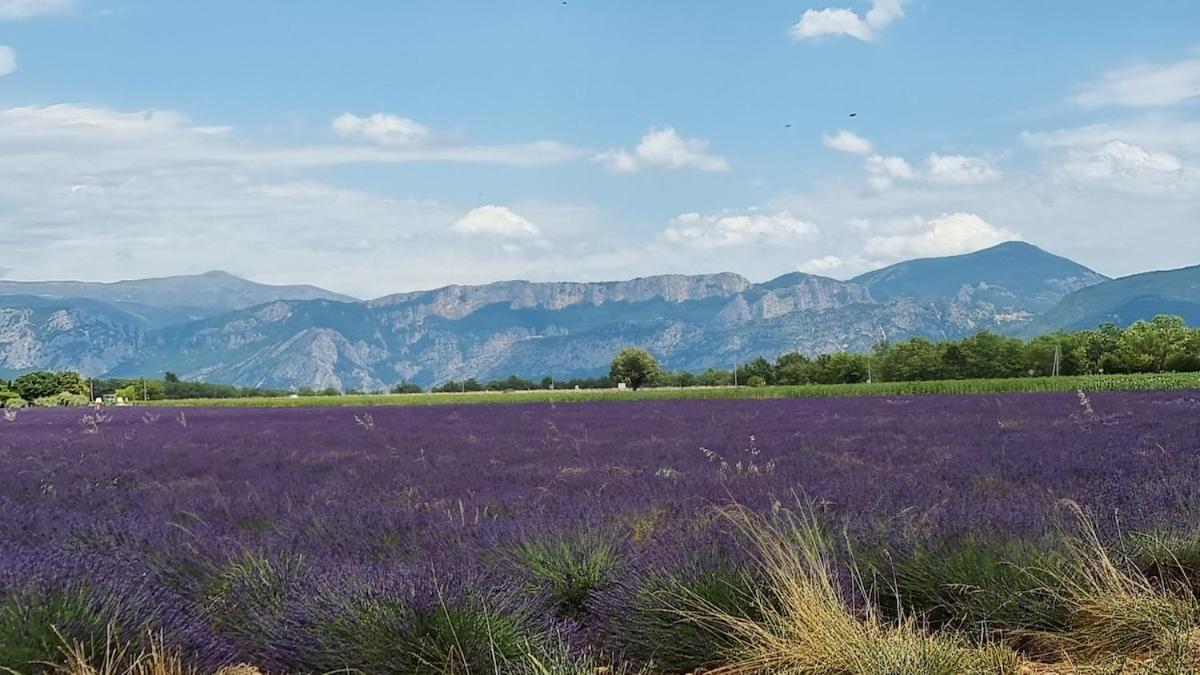 LE MUGEL cocooning SPA et proche calanques de Cassis