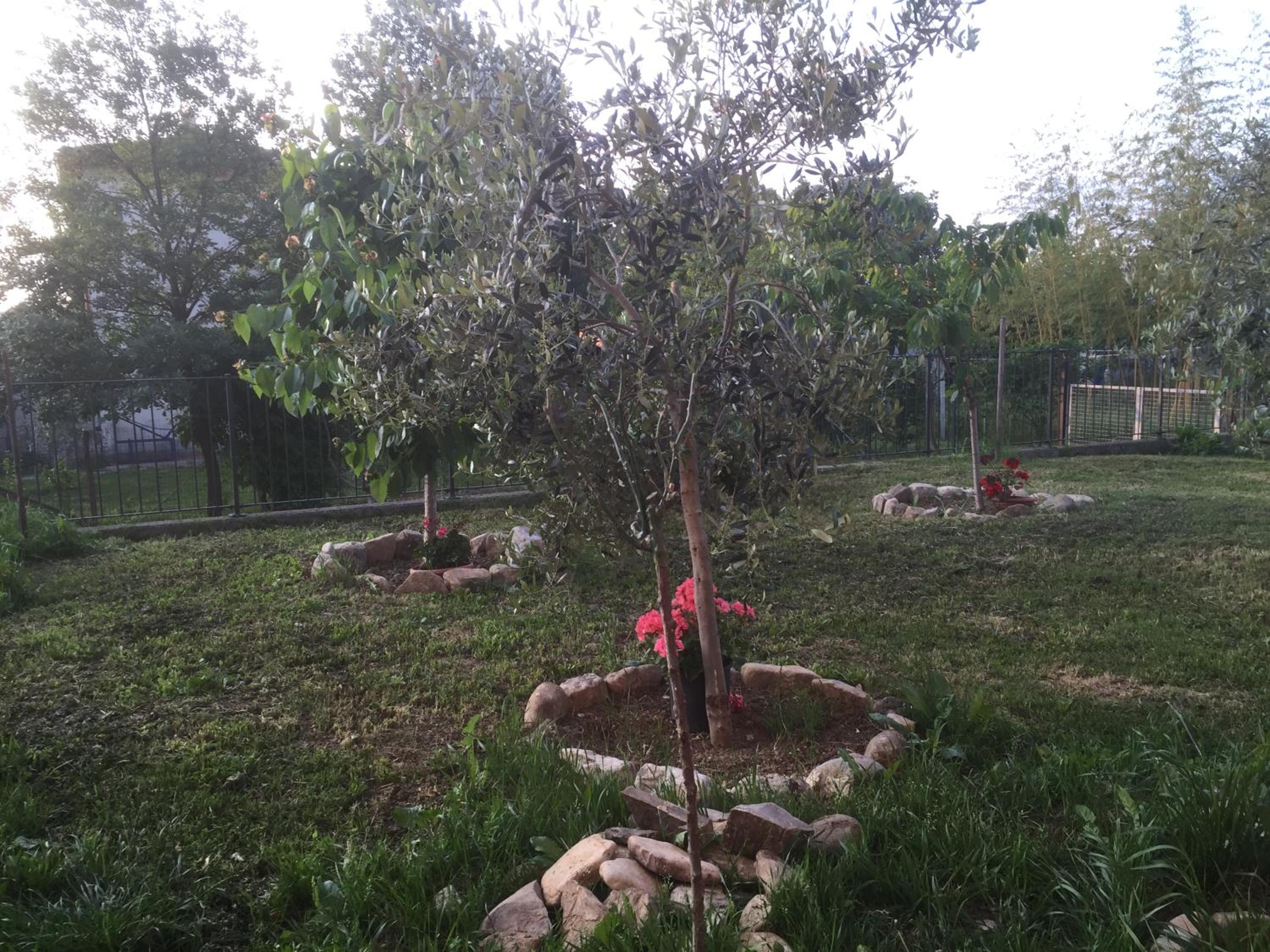 B&B San Giorgio