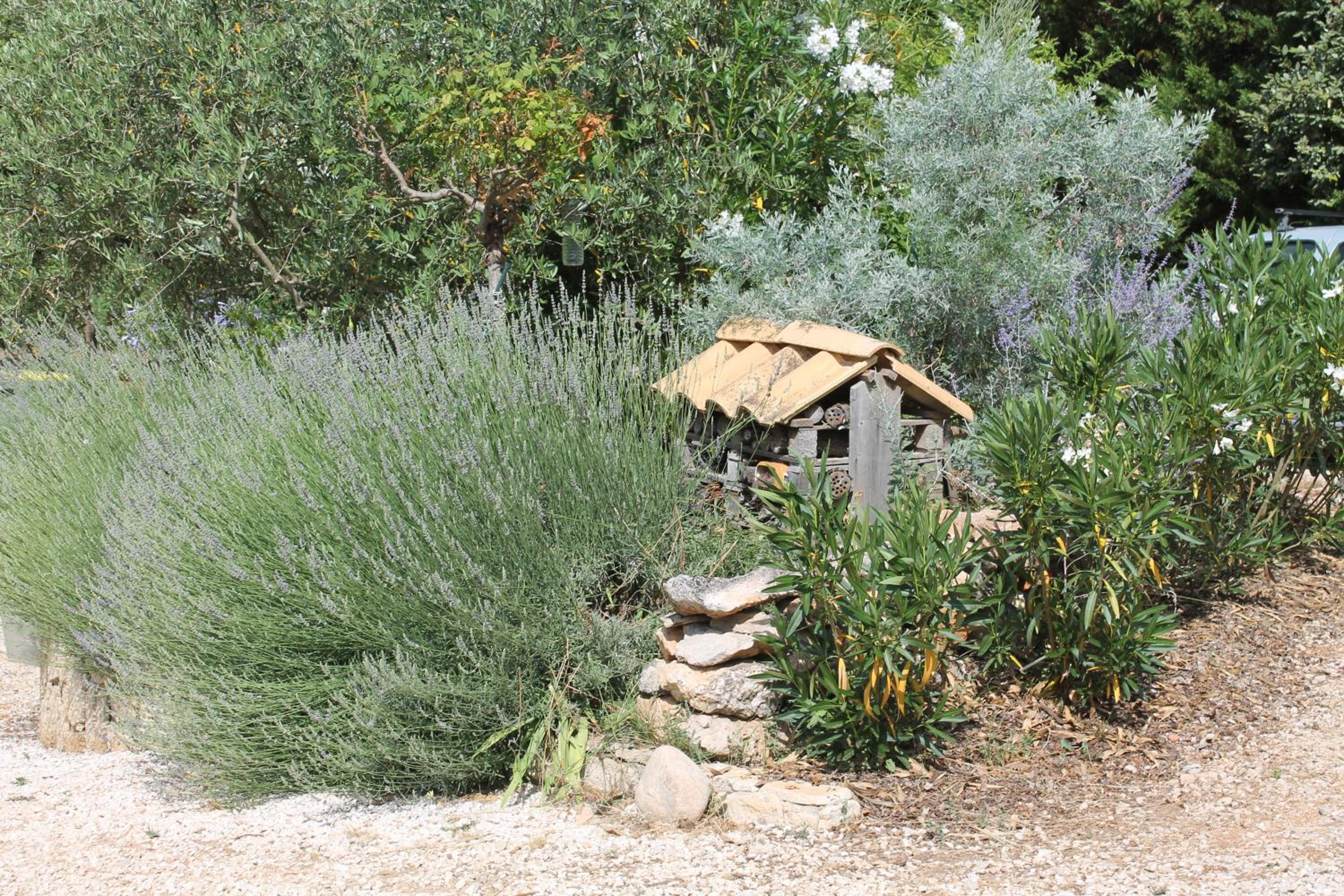 Photo 9