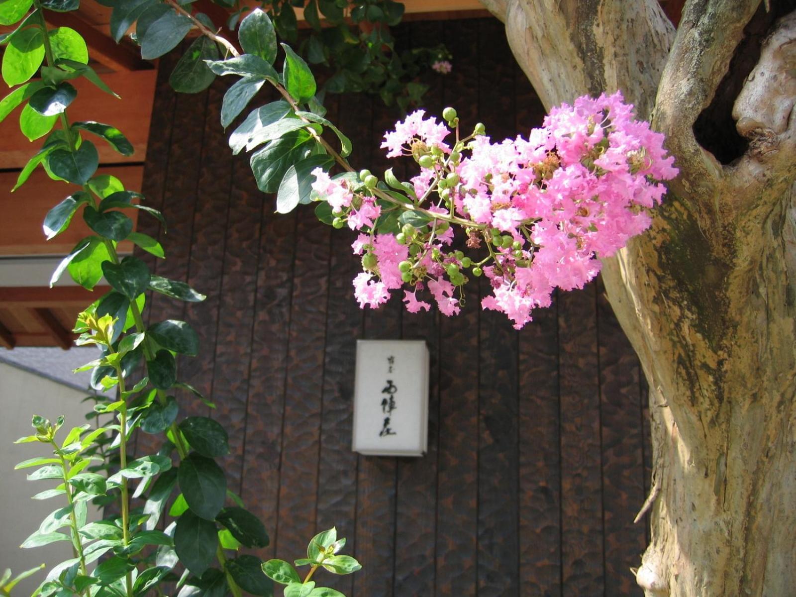 Yadoya Nishijinso