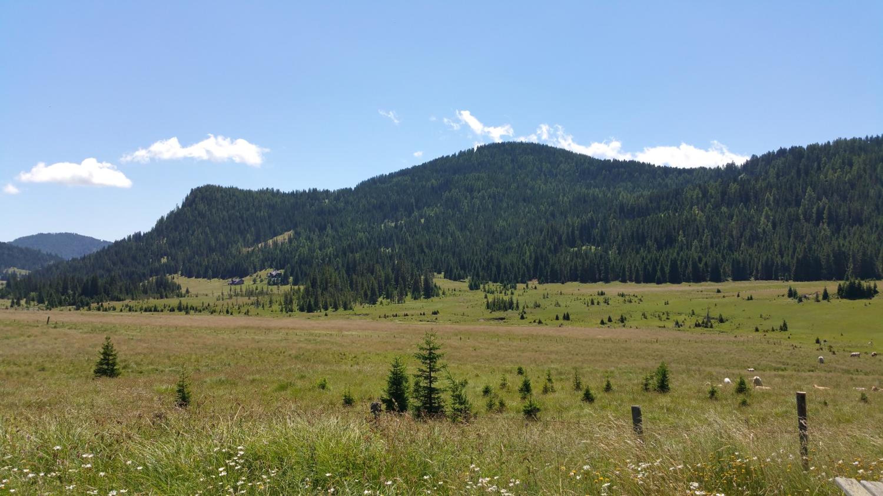 Photo 26