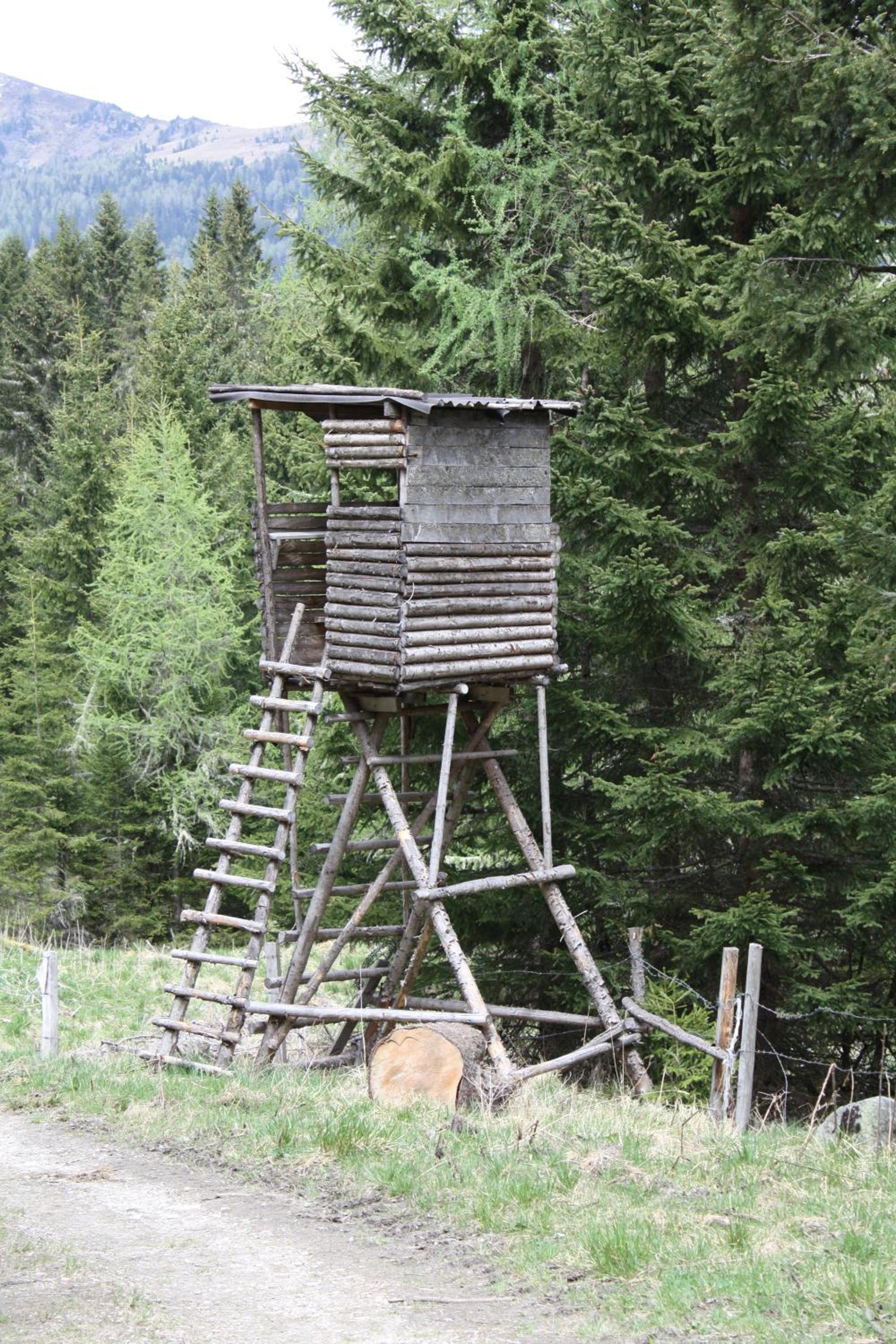 Photo 43