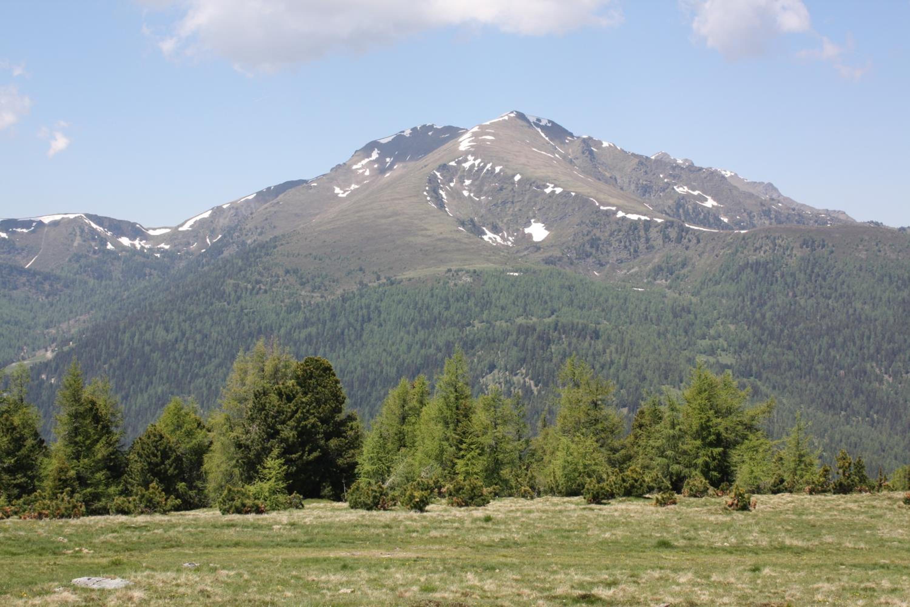 Photo 46