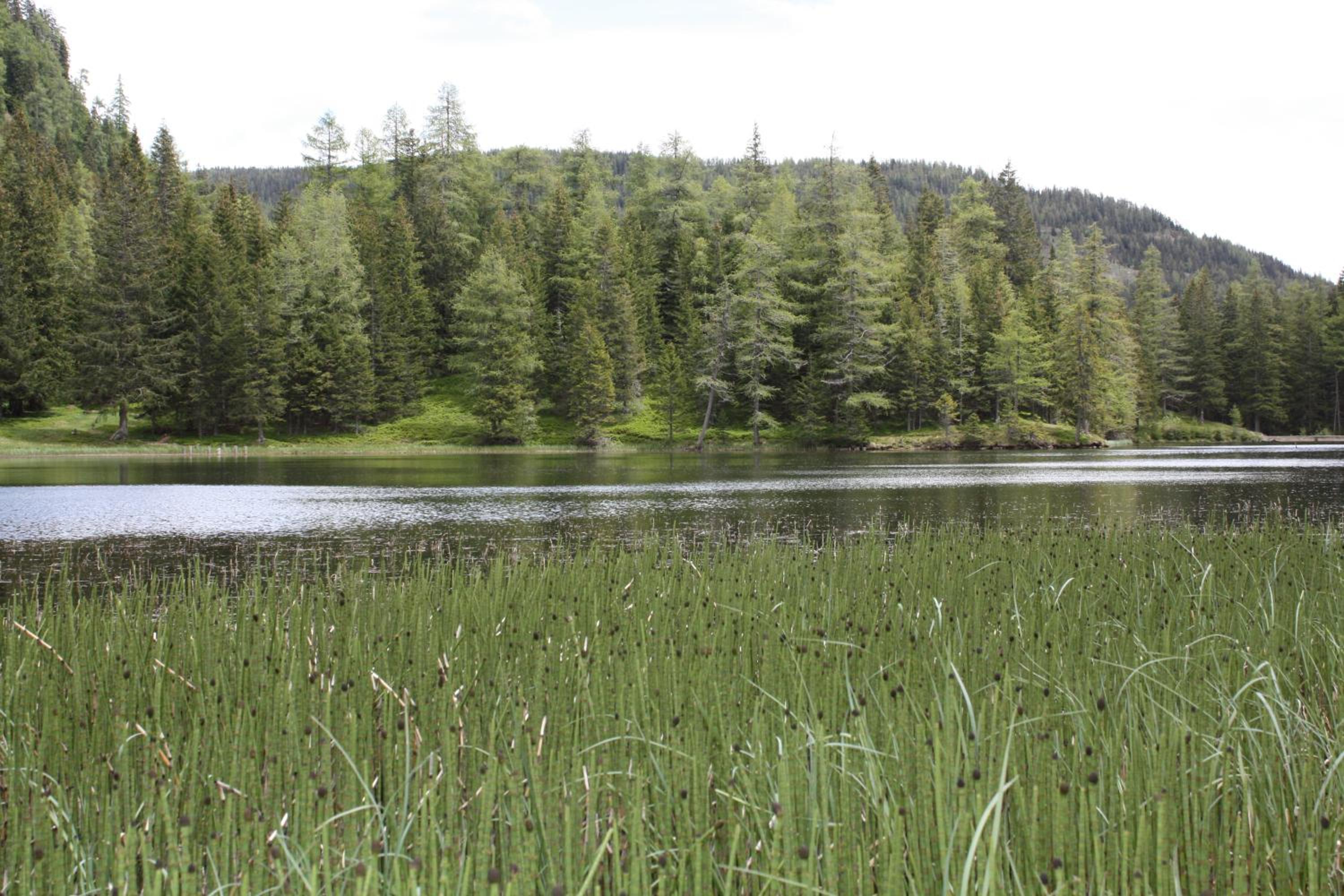 Photo 48