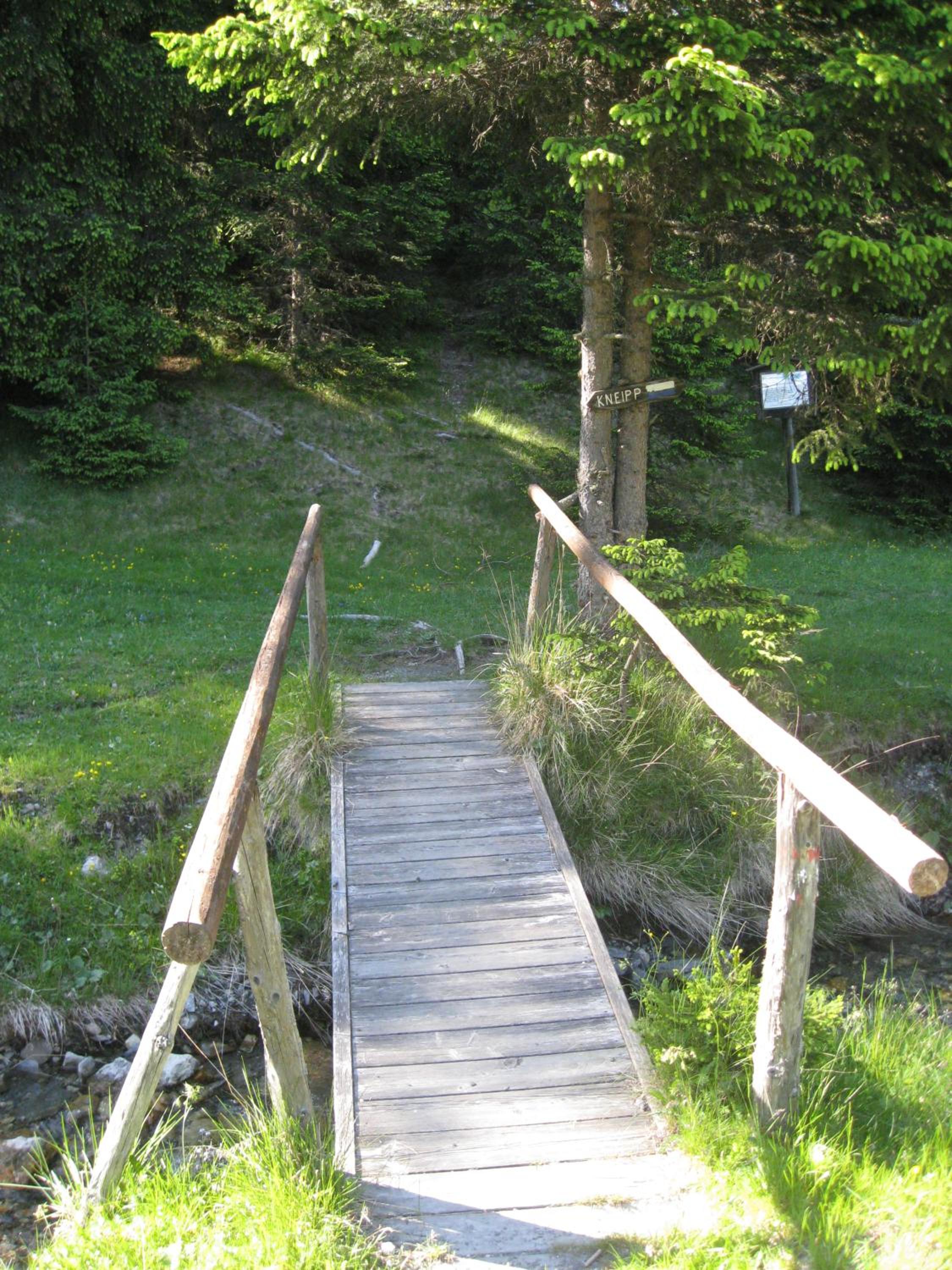 Photo 56