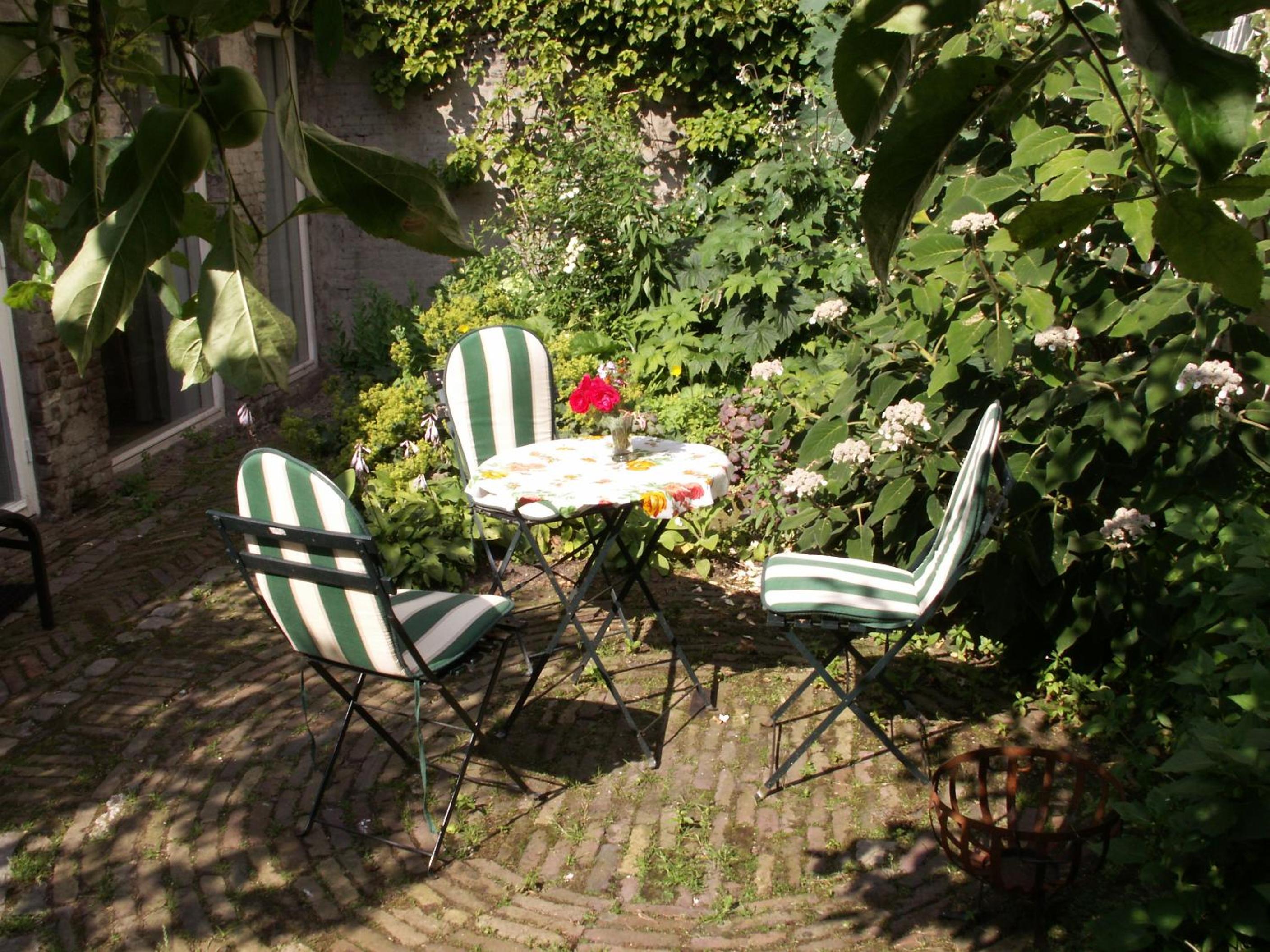 Photo 11