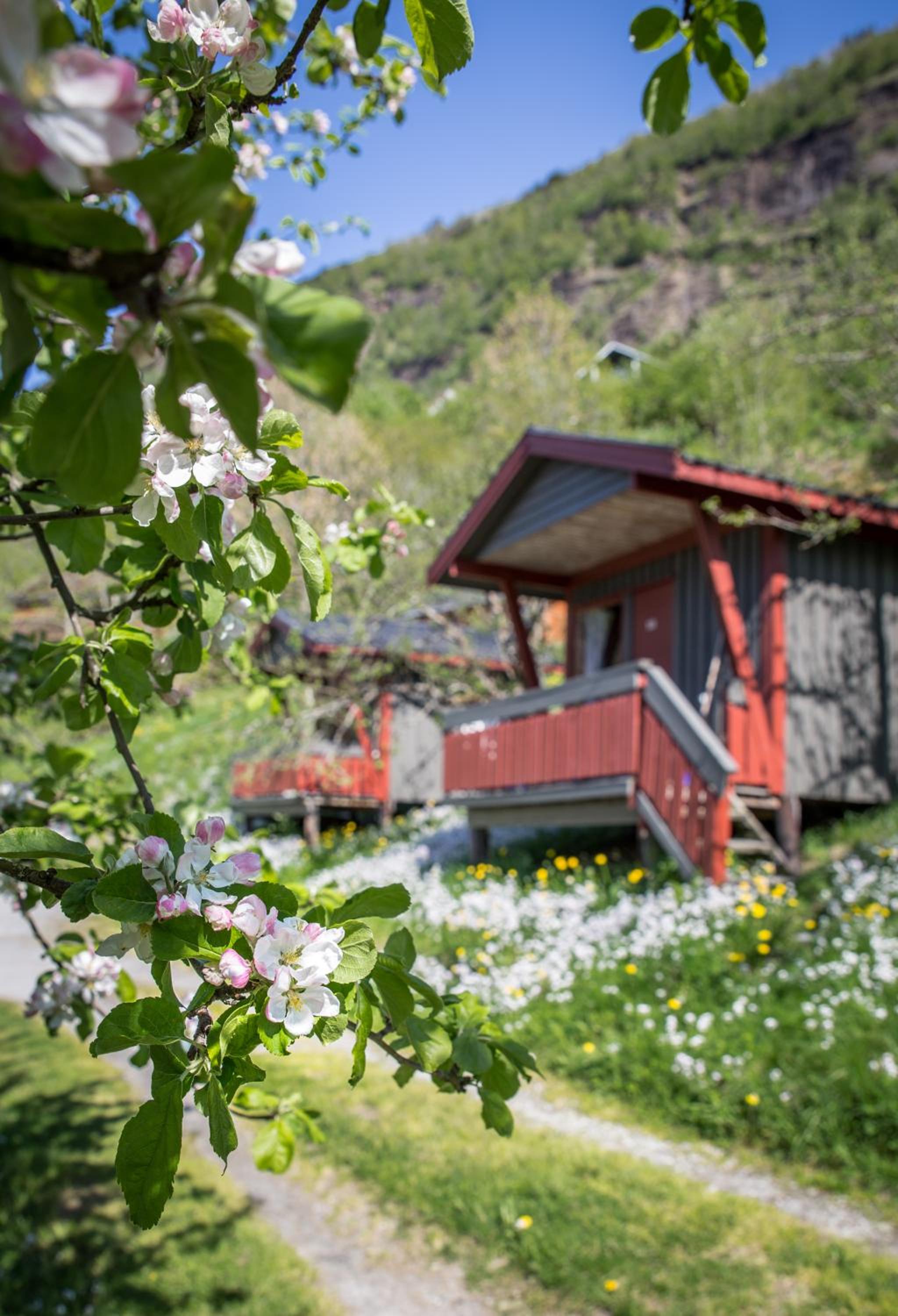 Pluscamp Sandvik