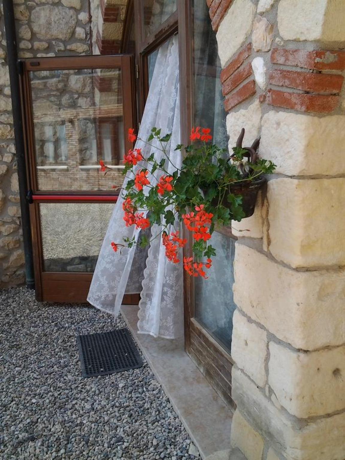 Photo 27