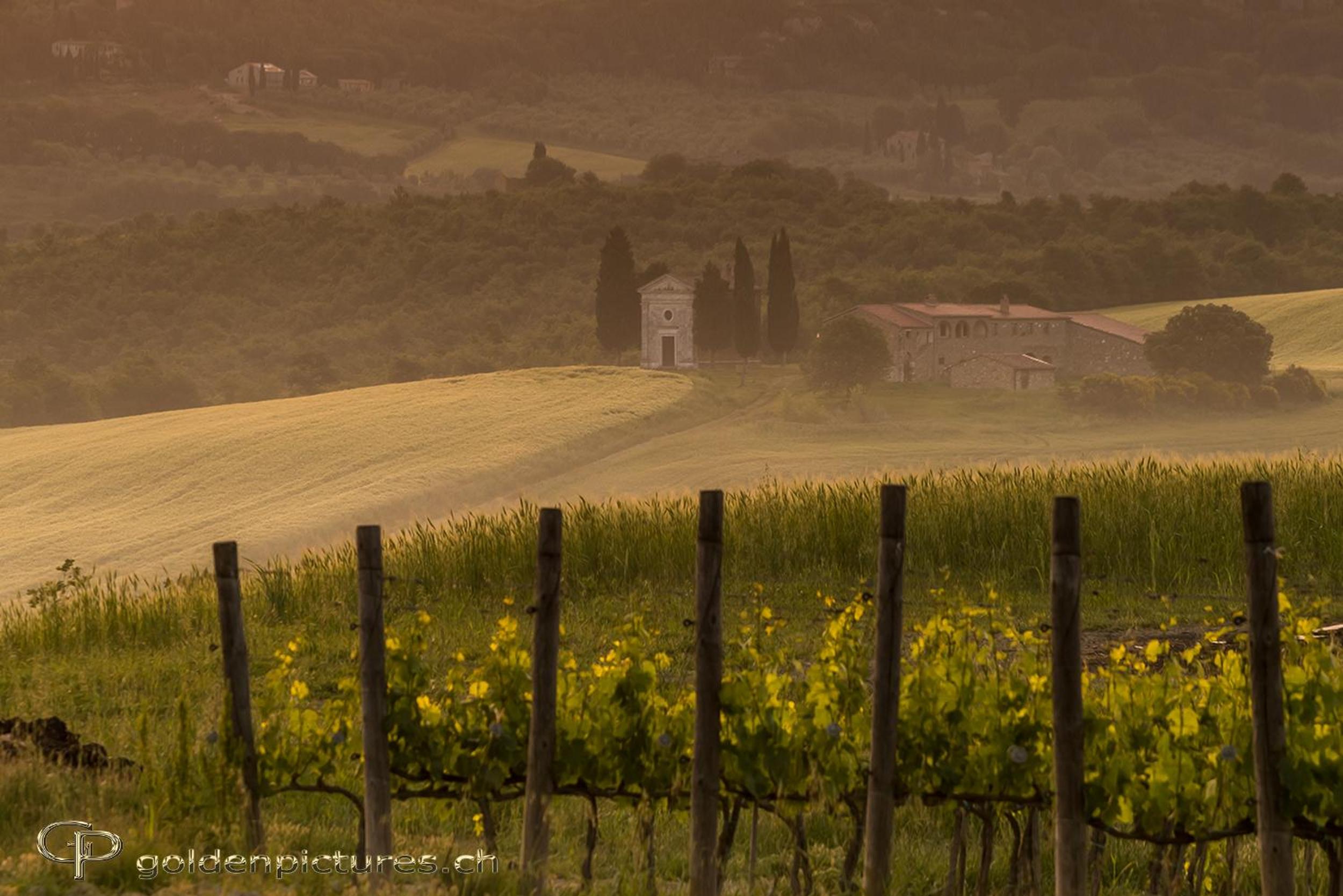 Agriturismo La Buca di Bellugi
