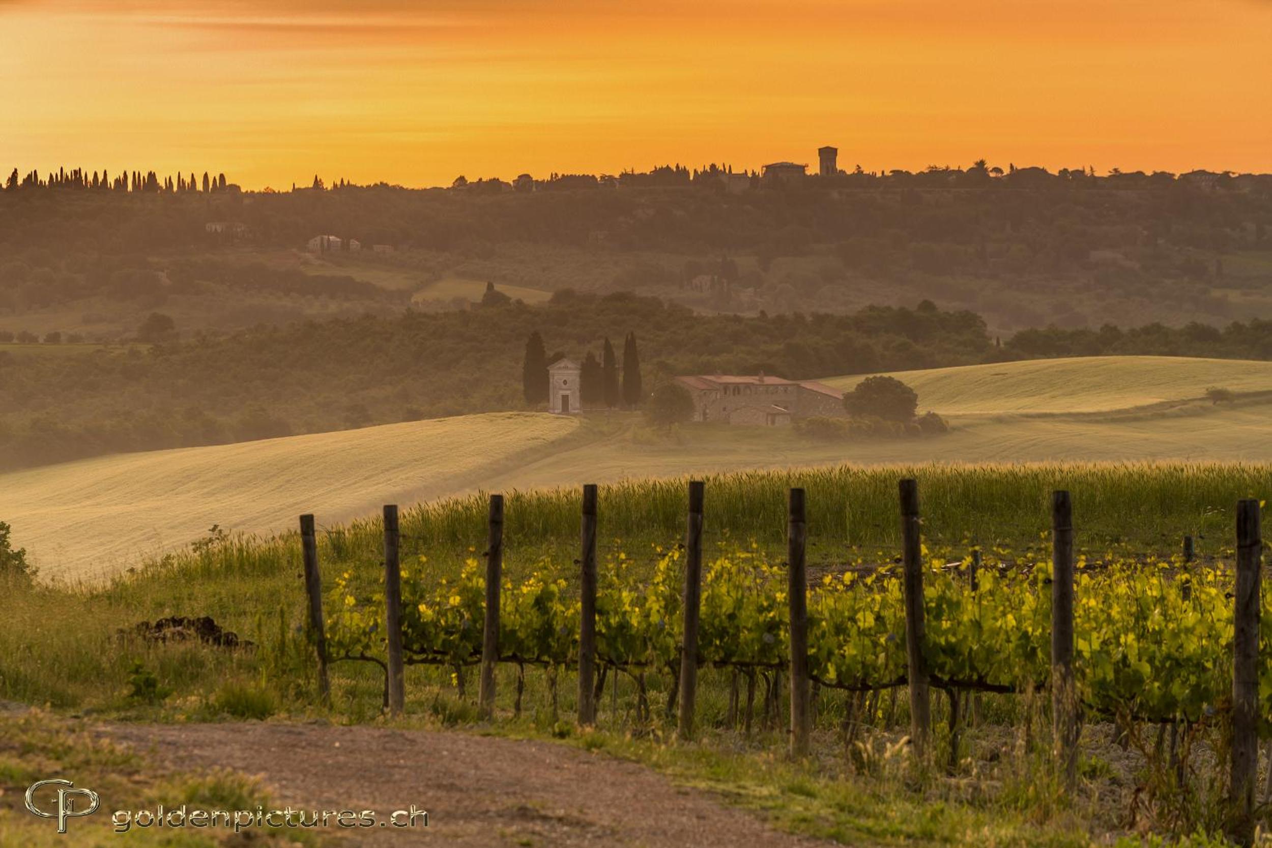 Agriturismo La Buca di Bellugi