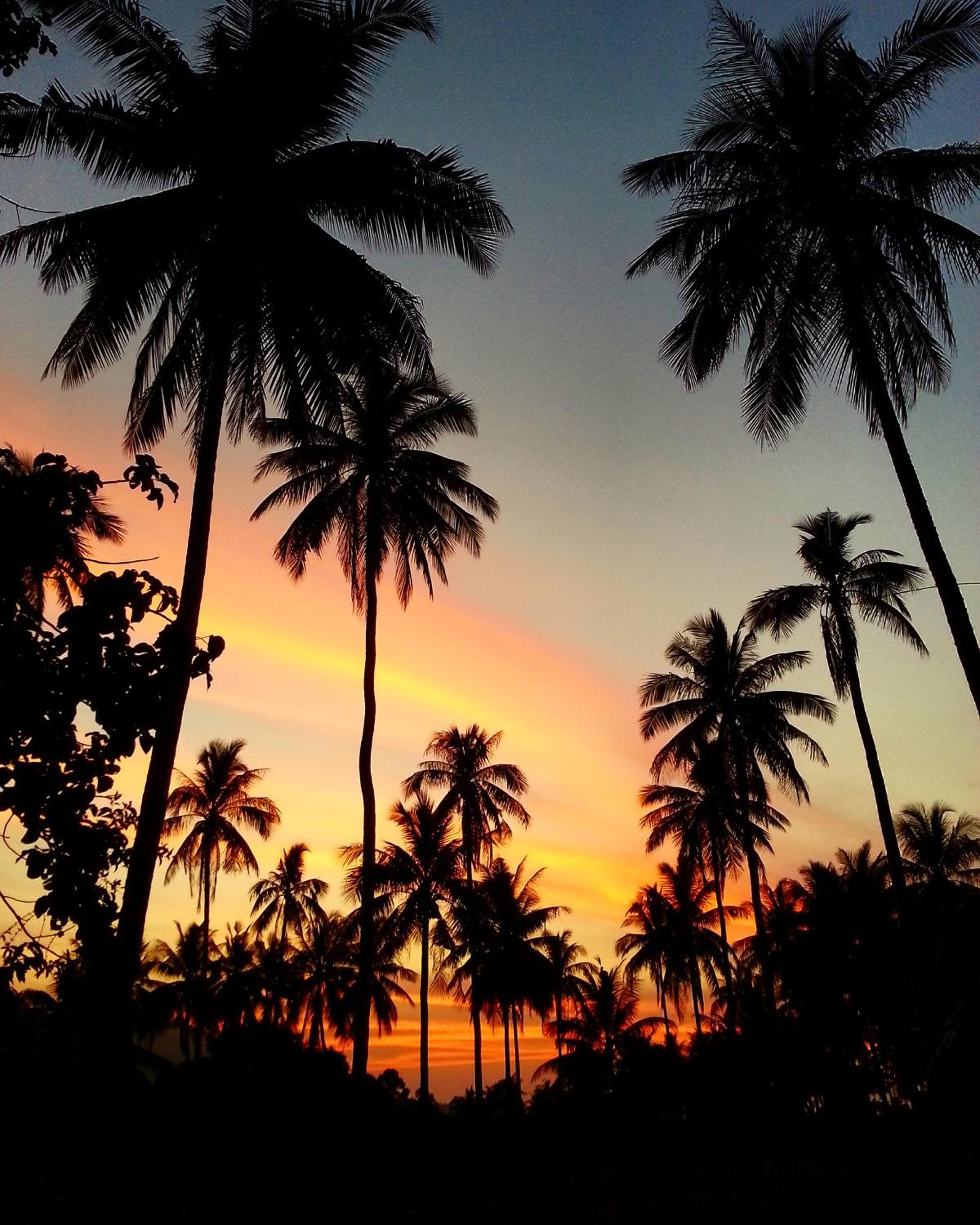 Tropical Season Villa Resort