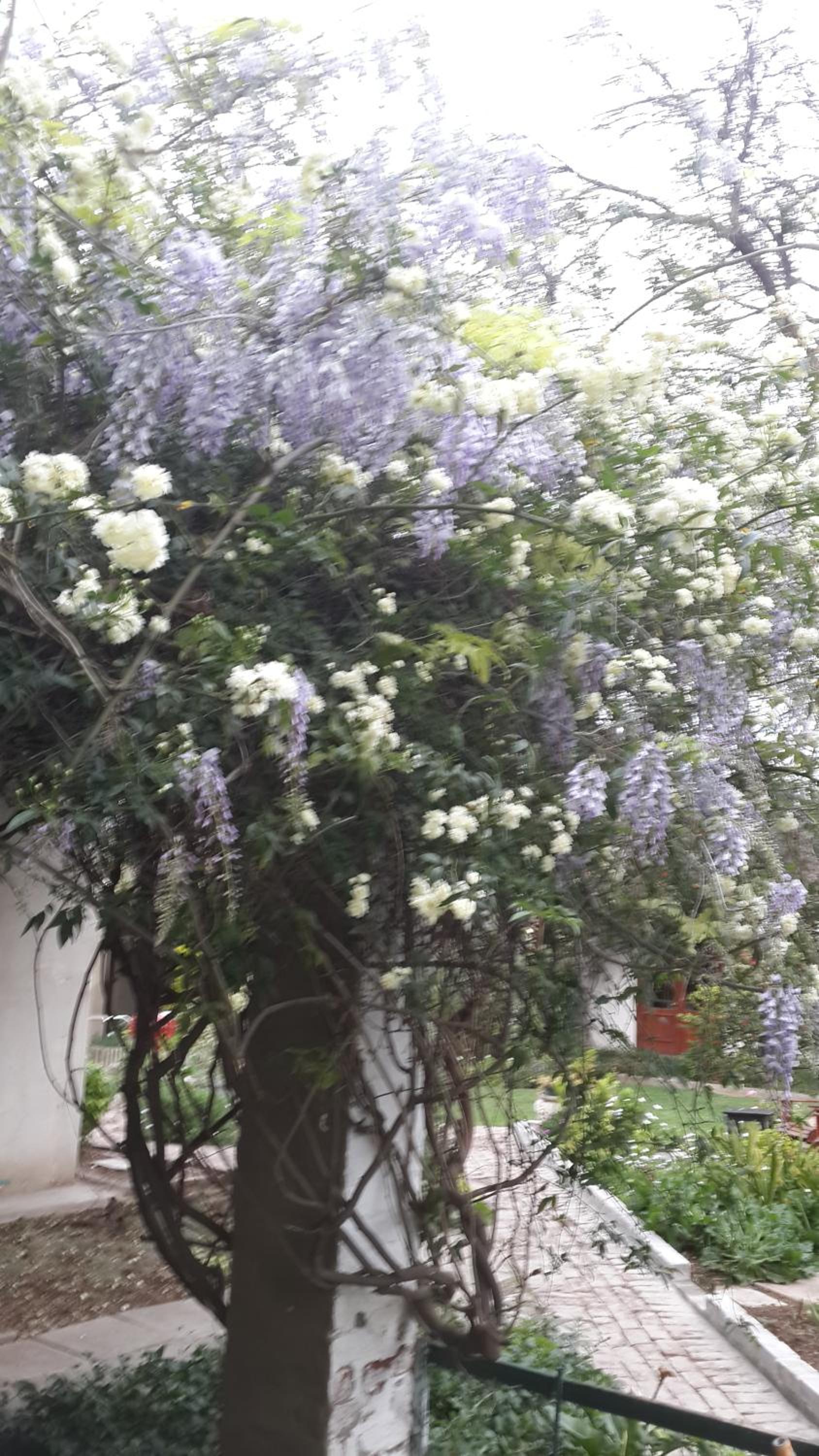 Villa Reinet Guest House