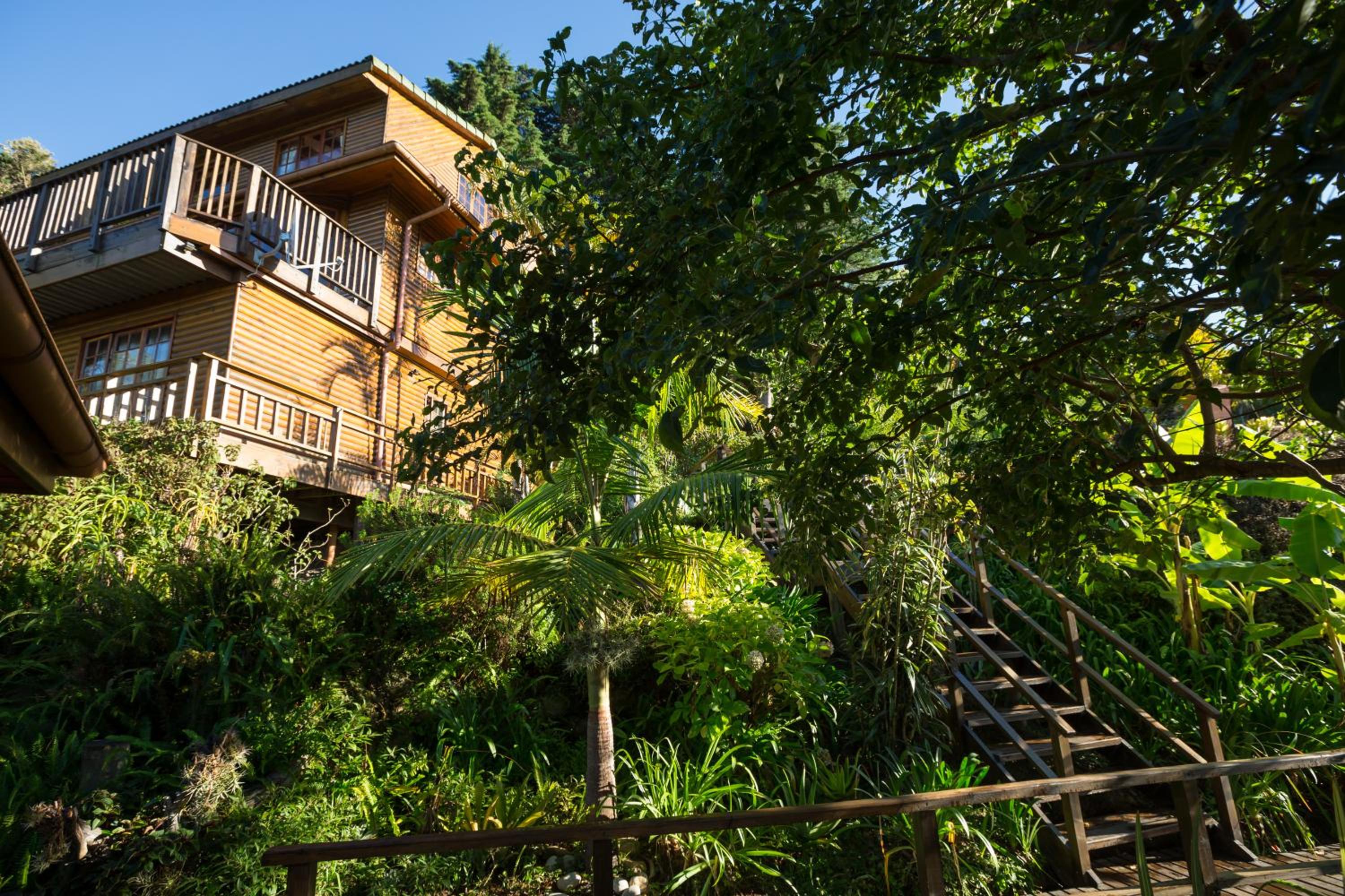 Big Tree House Lodge