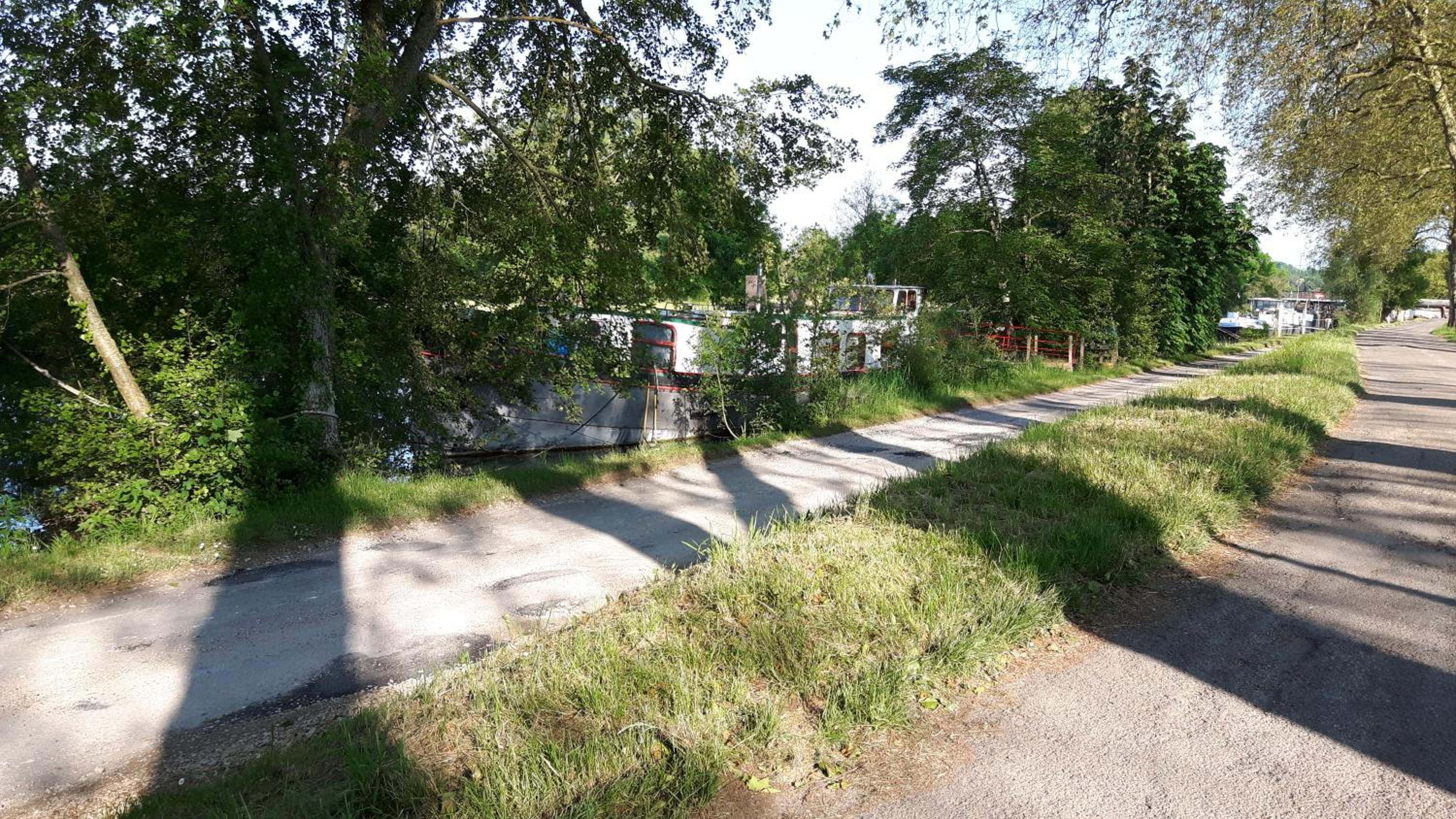 Photo 15