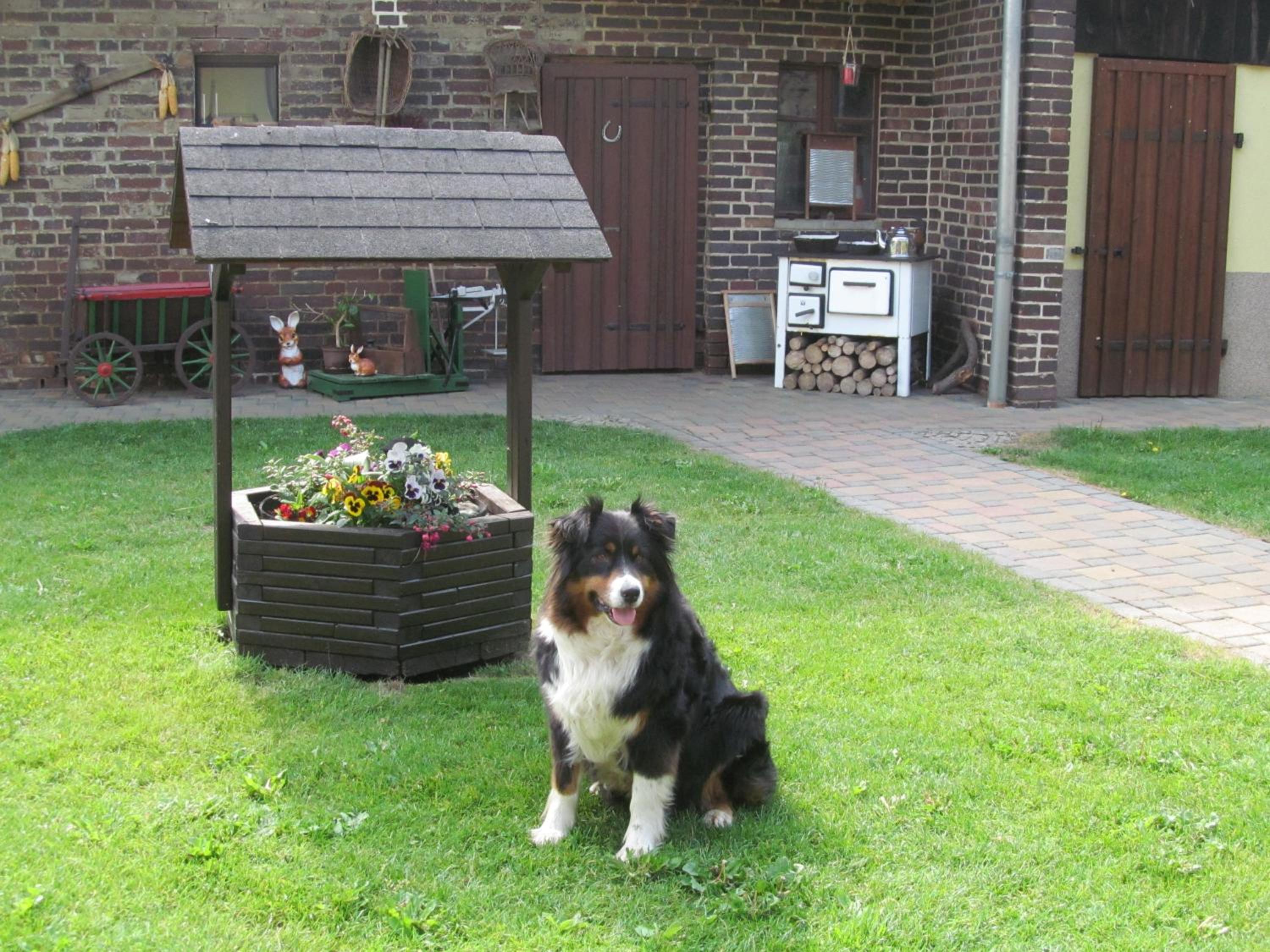 Photo 18
