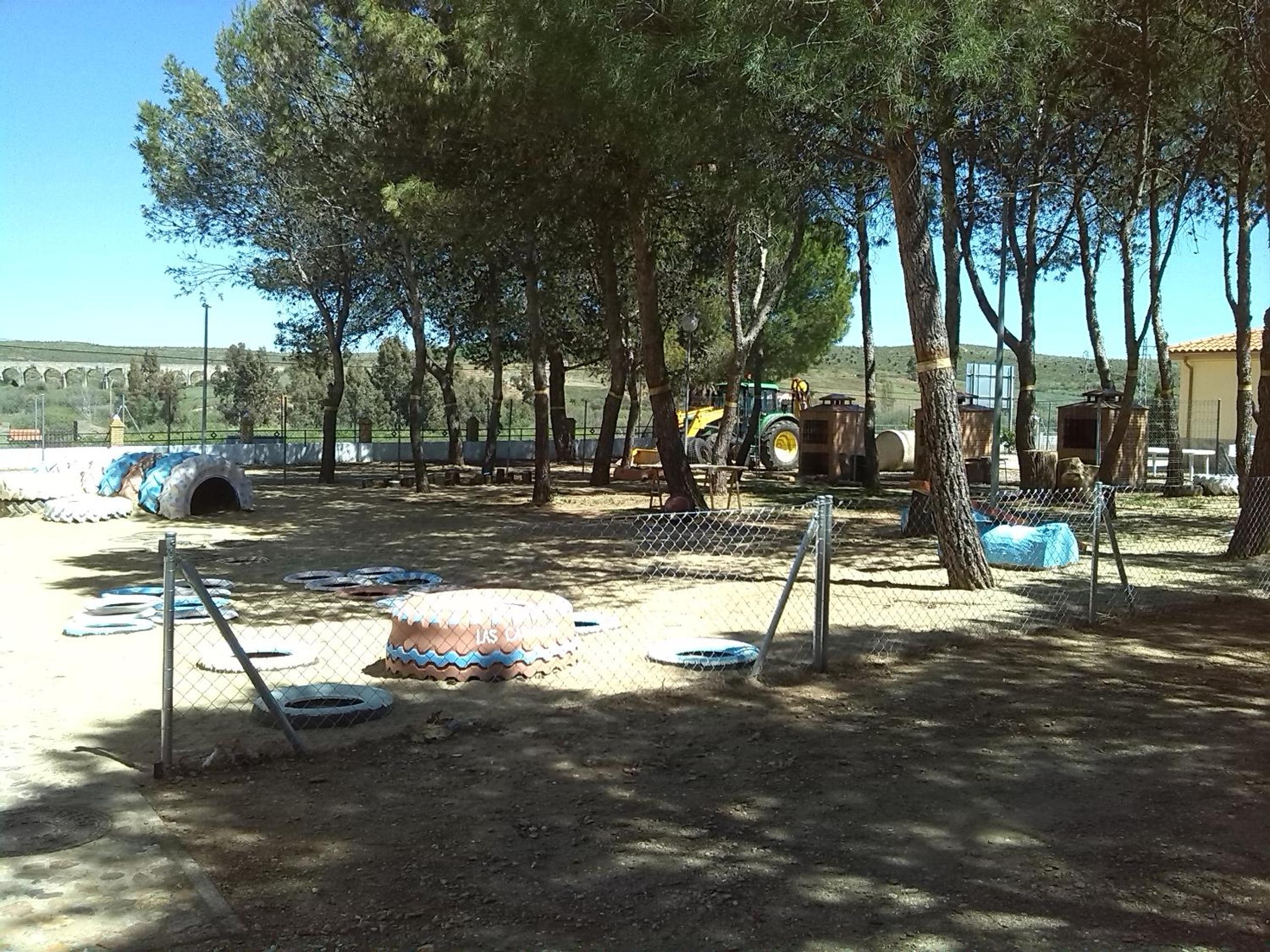 Photo 12