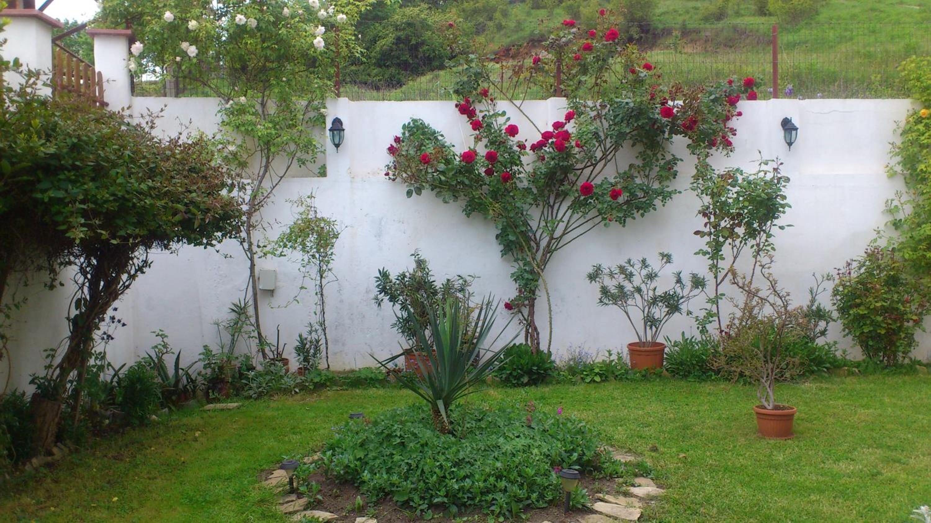 Petrovi Guest House