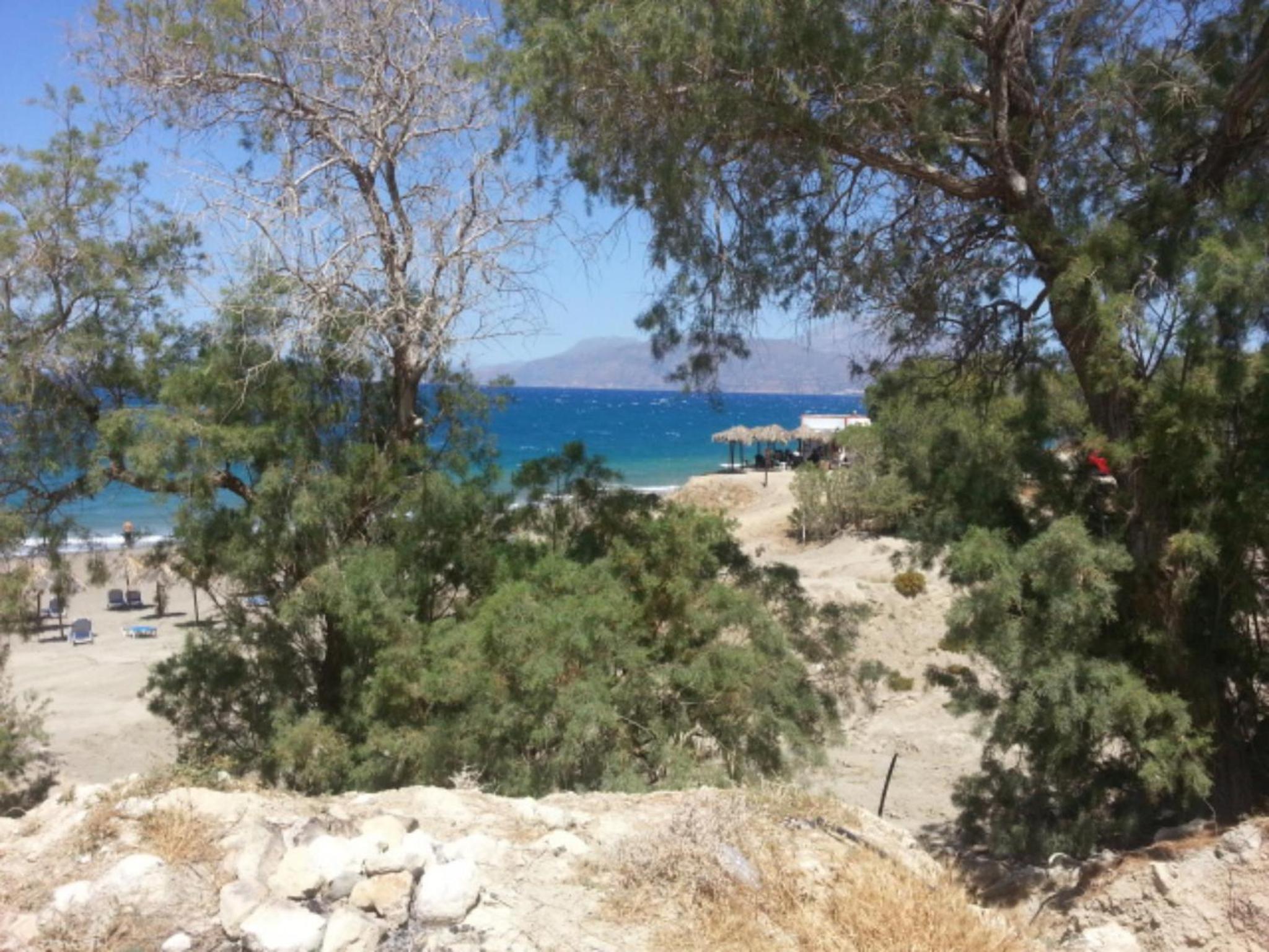 Photo 48