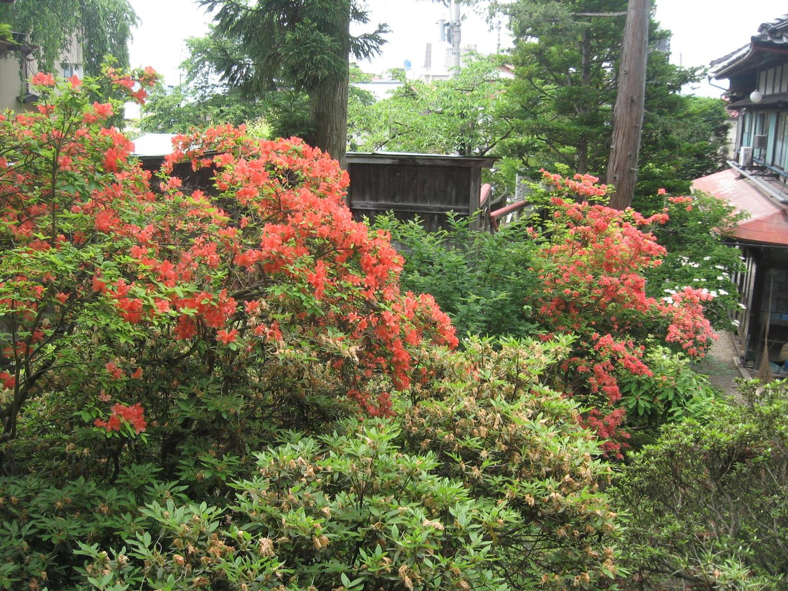 Maruka Ryokan