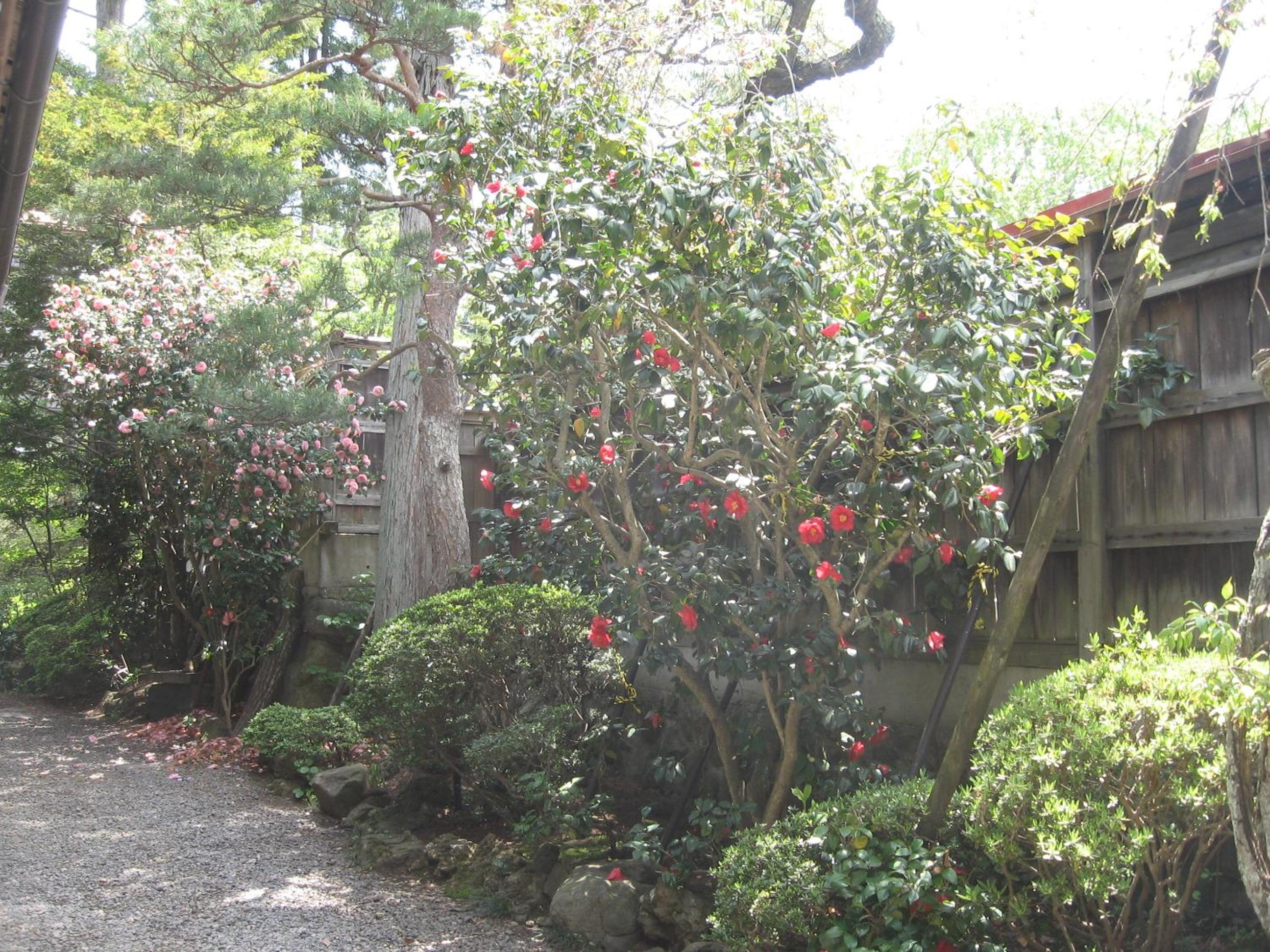 Maruka Ryokan