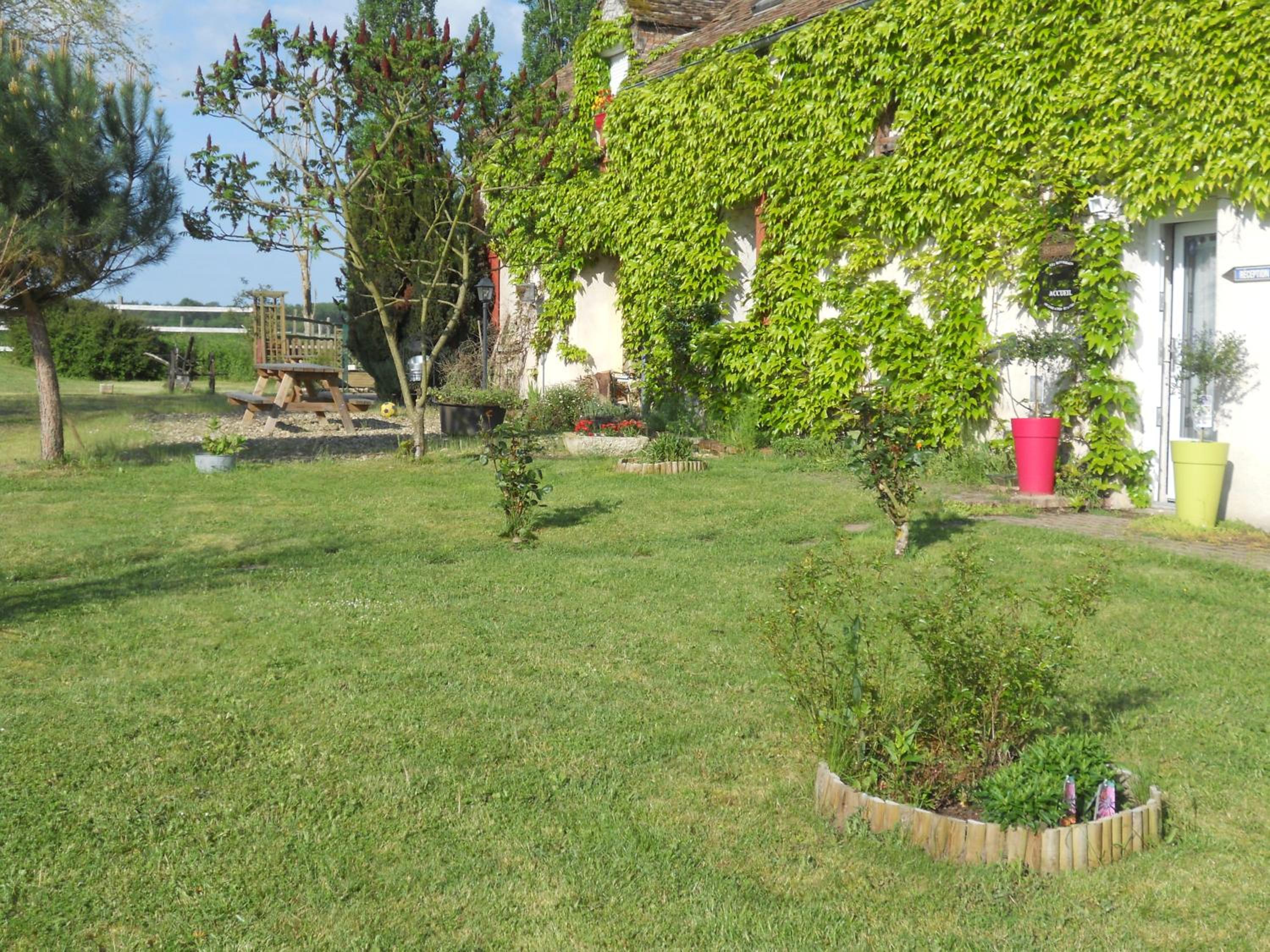 Photo 64