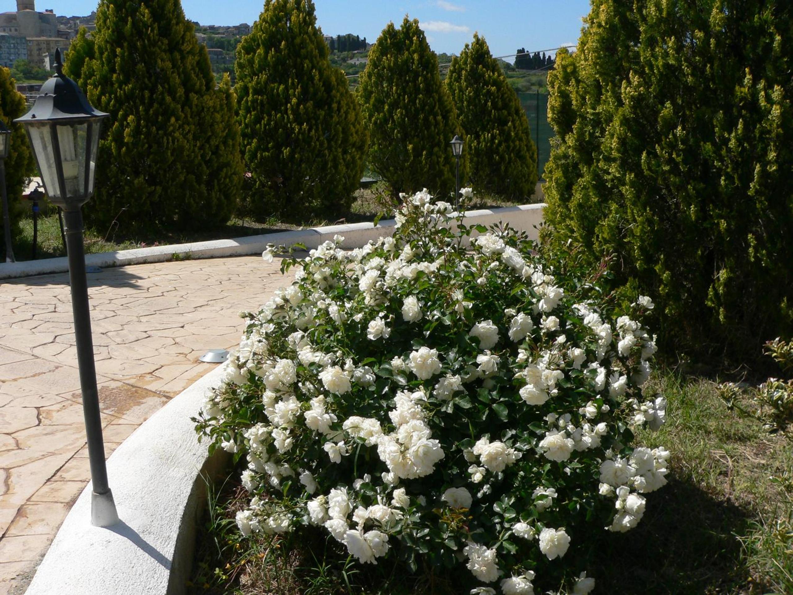Photo 28
