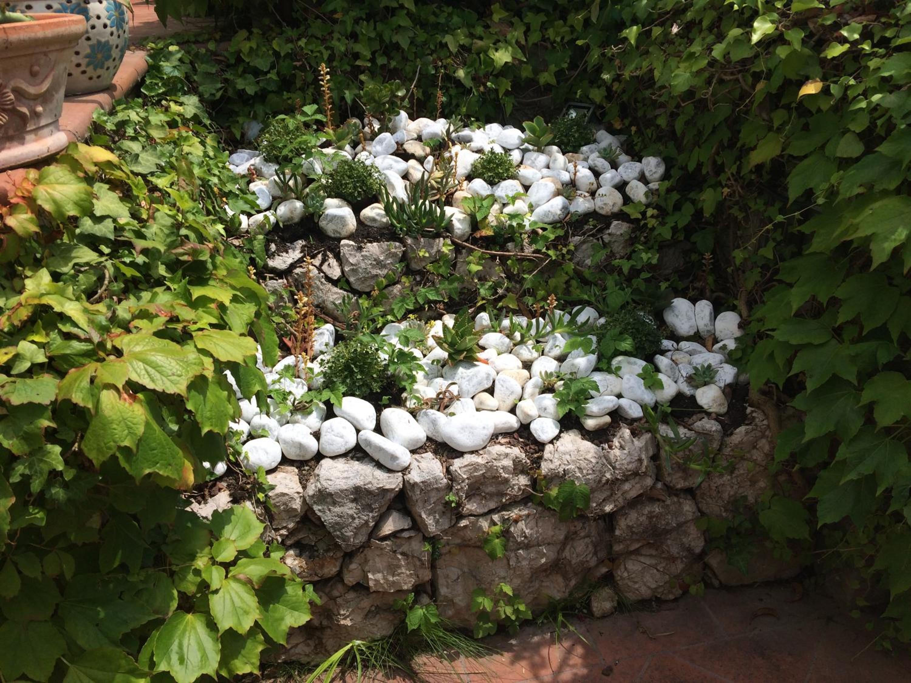 Photo 43