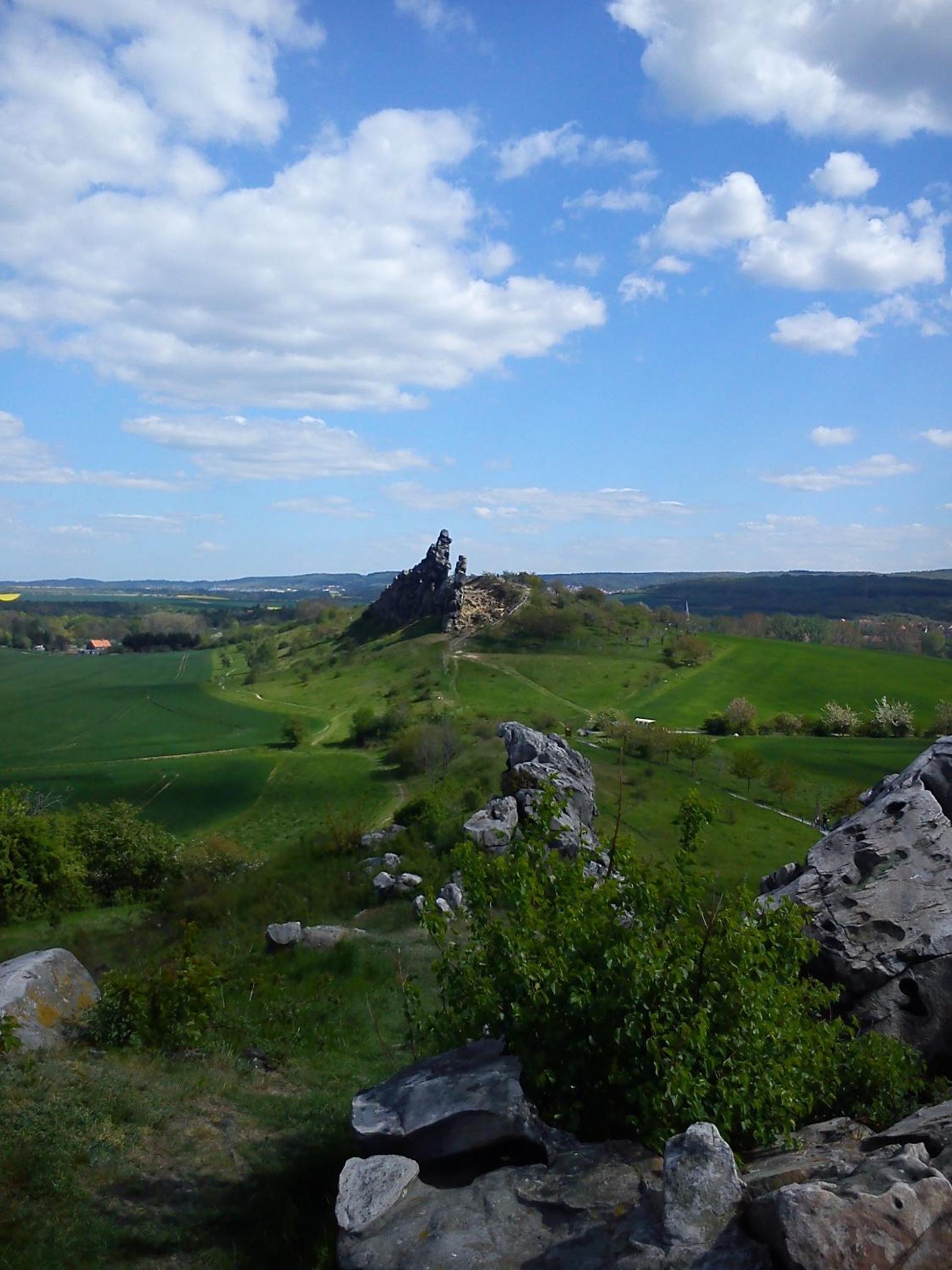 Photo 7