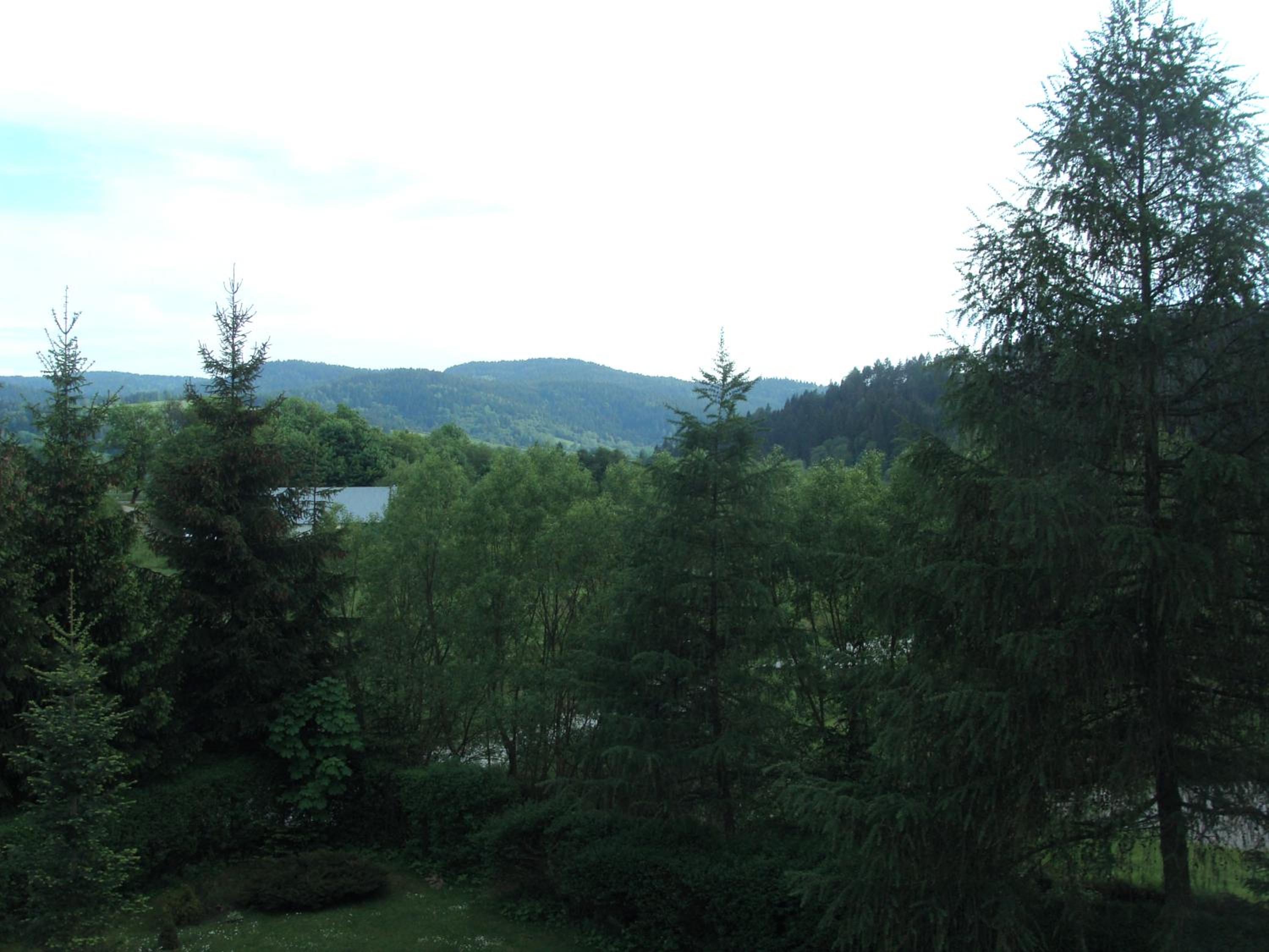 Photo 30