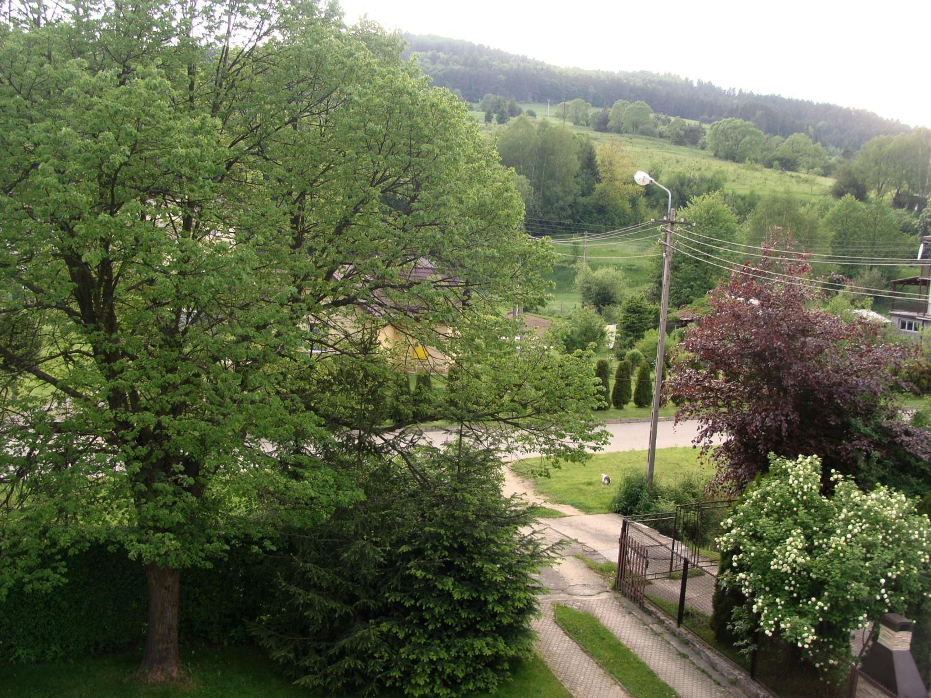 Photo 31