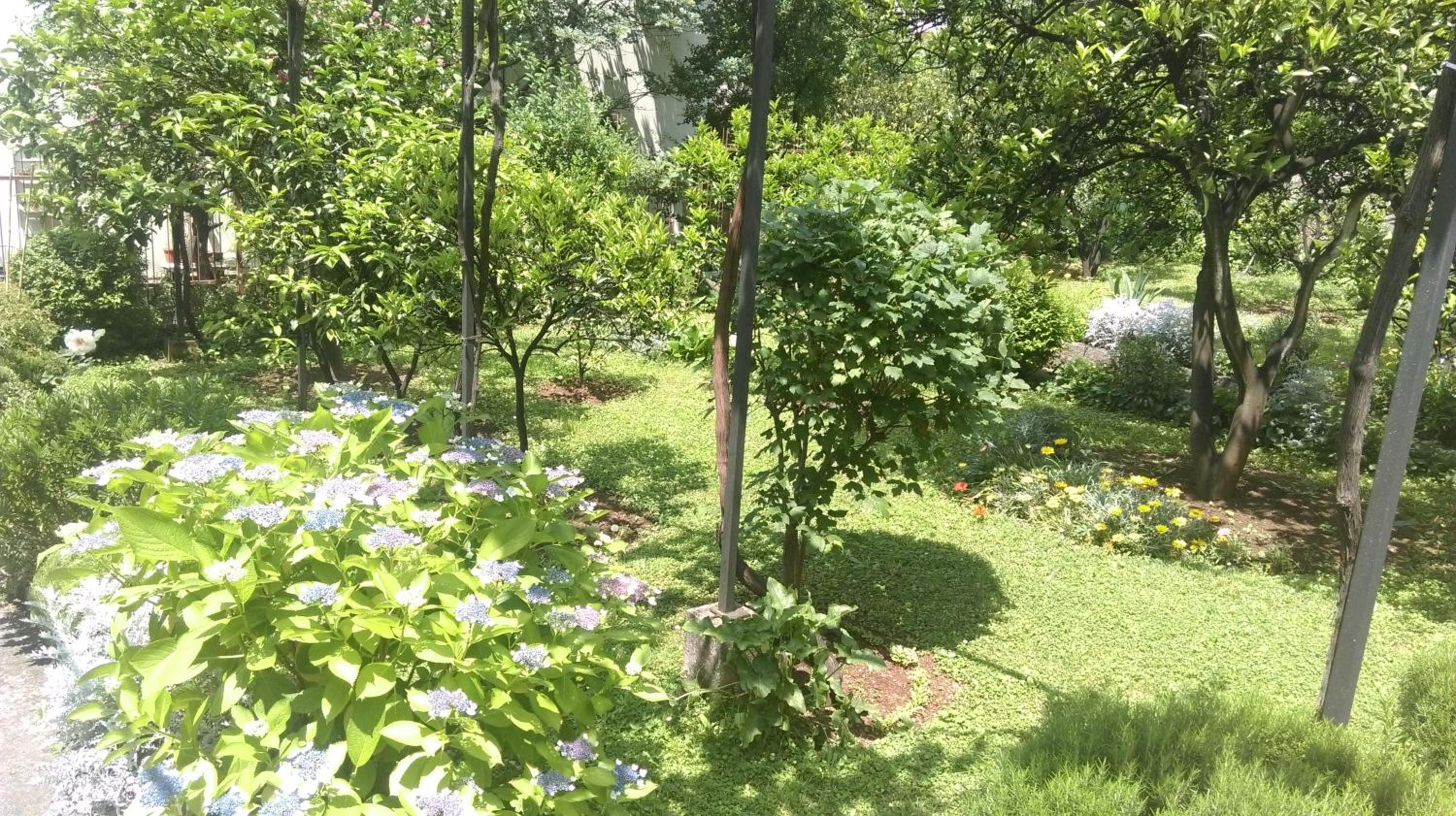 Apartment Ruzica Krstic
