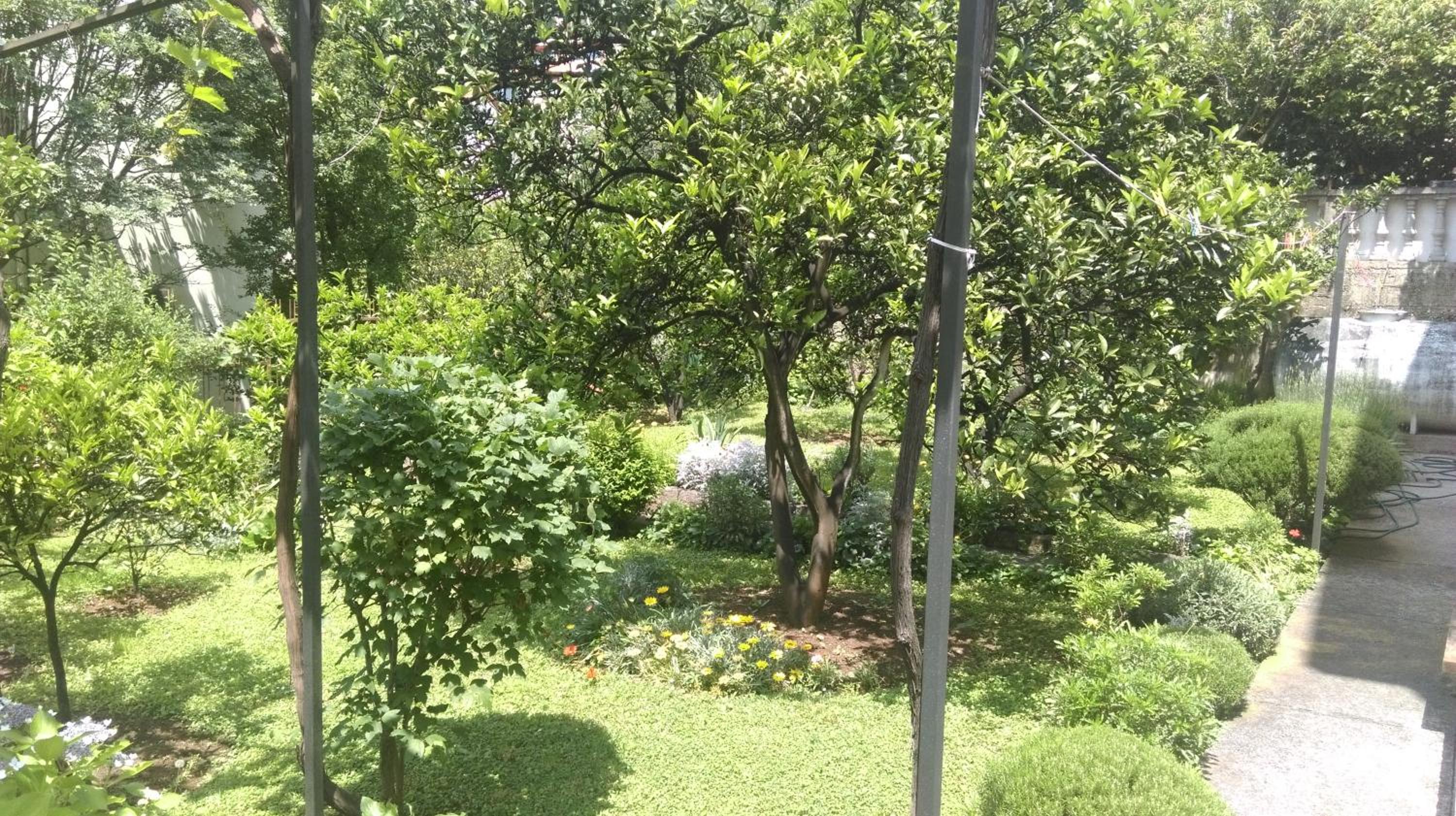 Apartment Ruzica Krstic