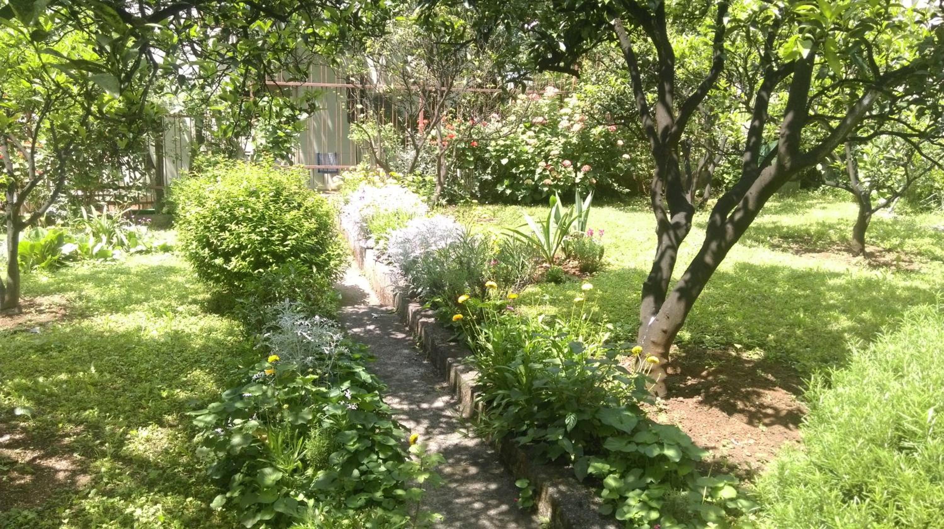 Photo 44