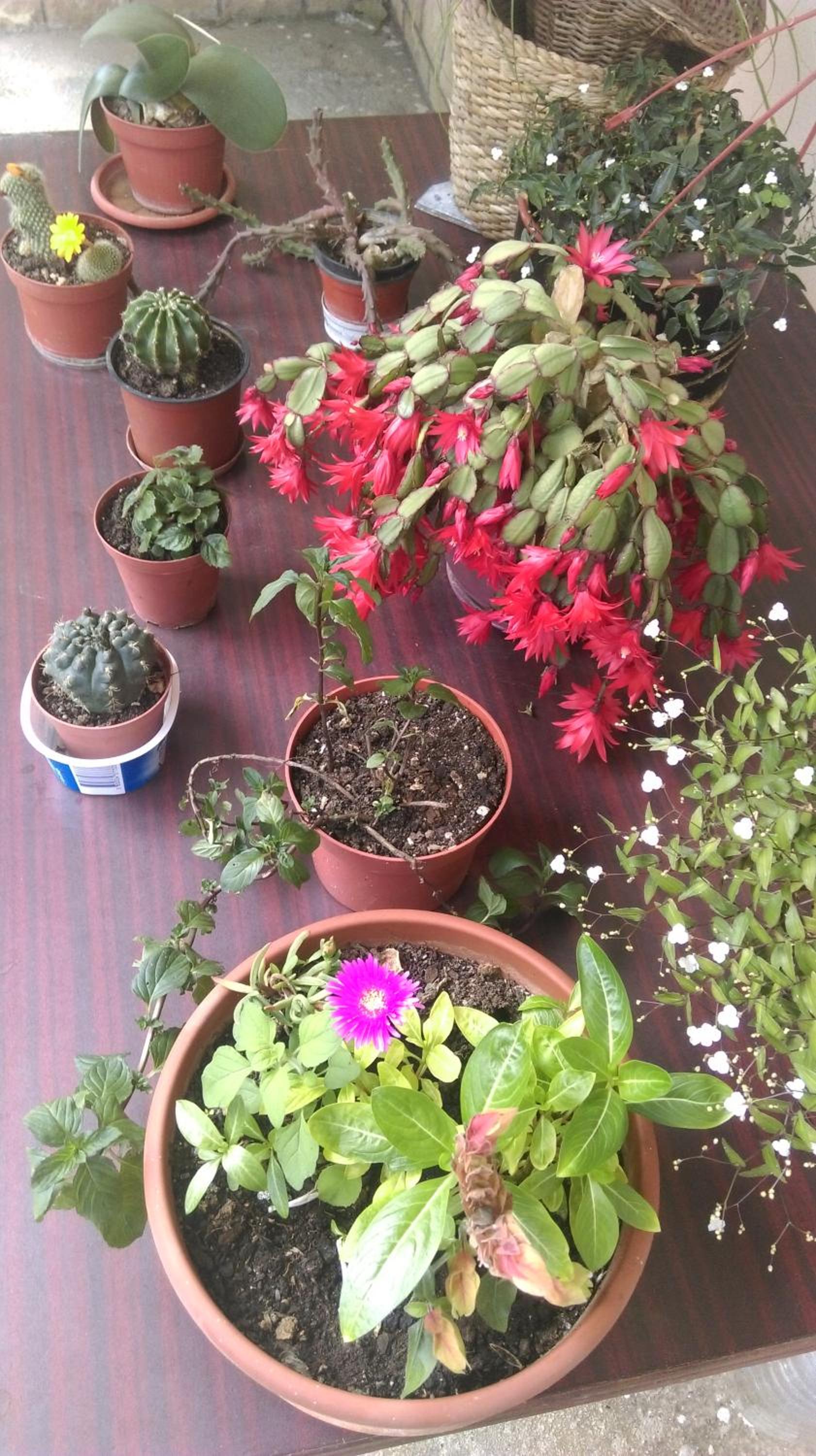 Photo 23