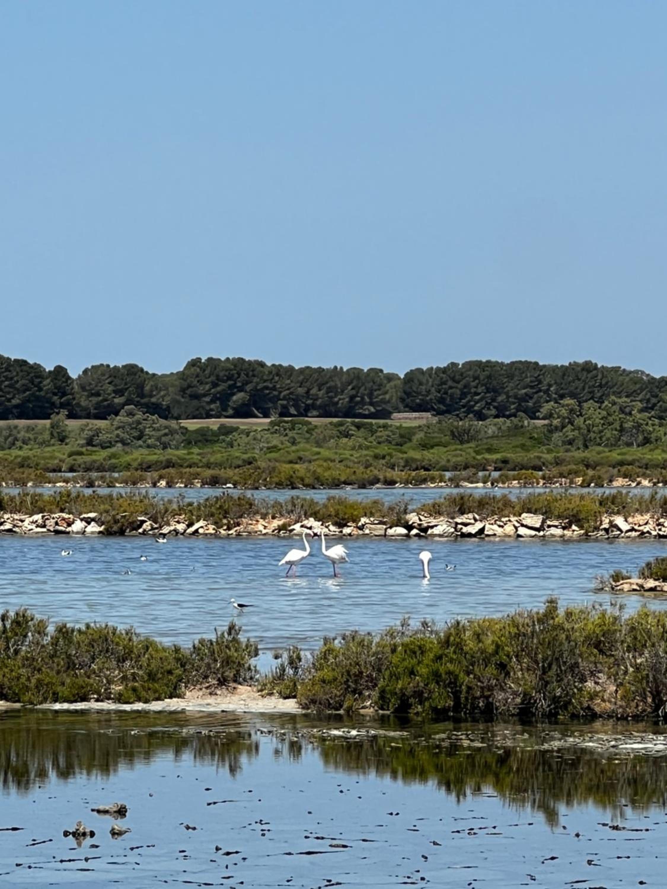 Sa Calma Marina A Tranquil Mediterranean Retreat