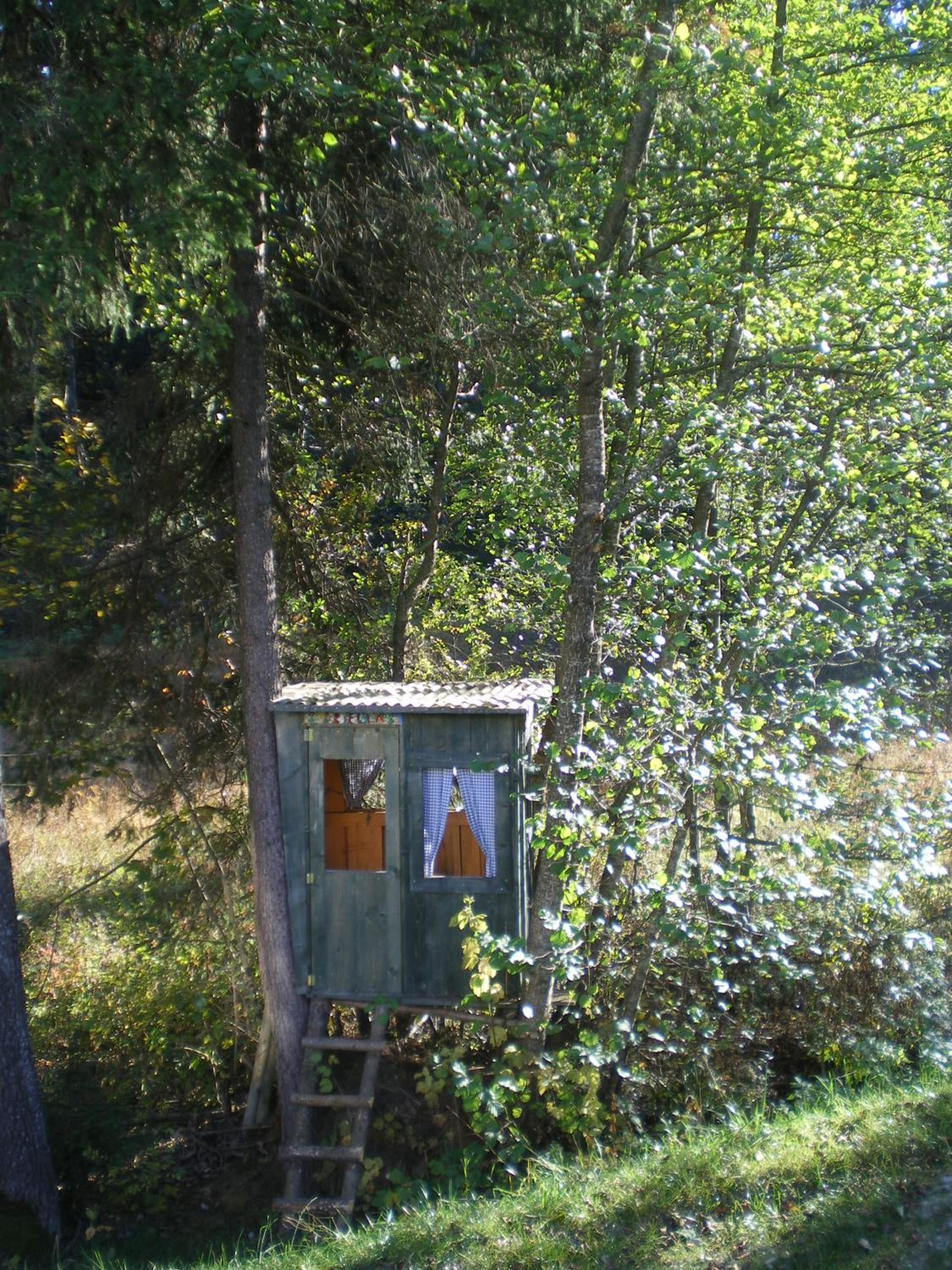 Photo 29
