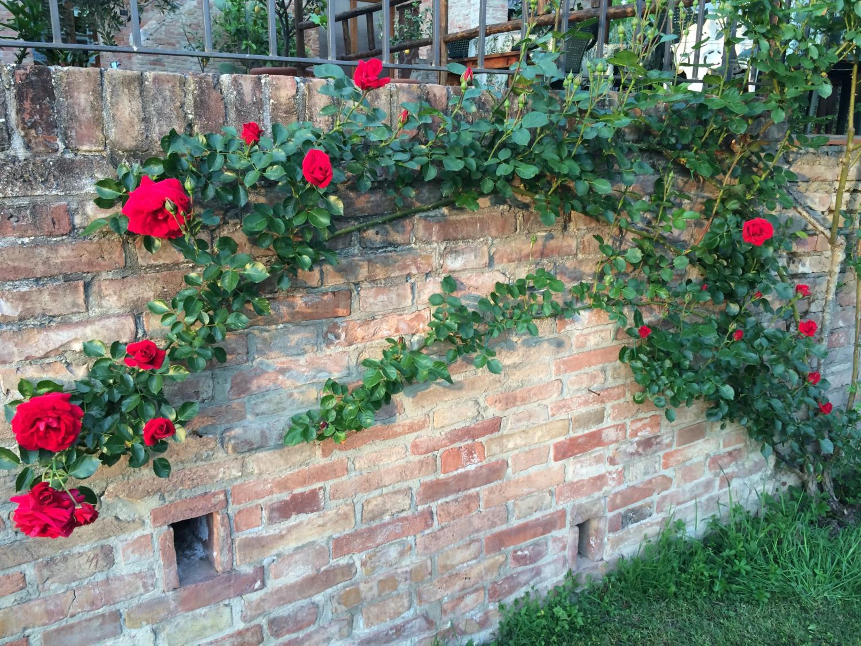 Photo 32