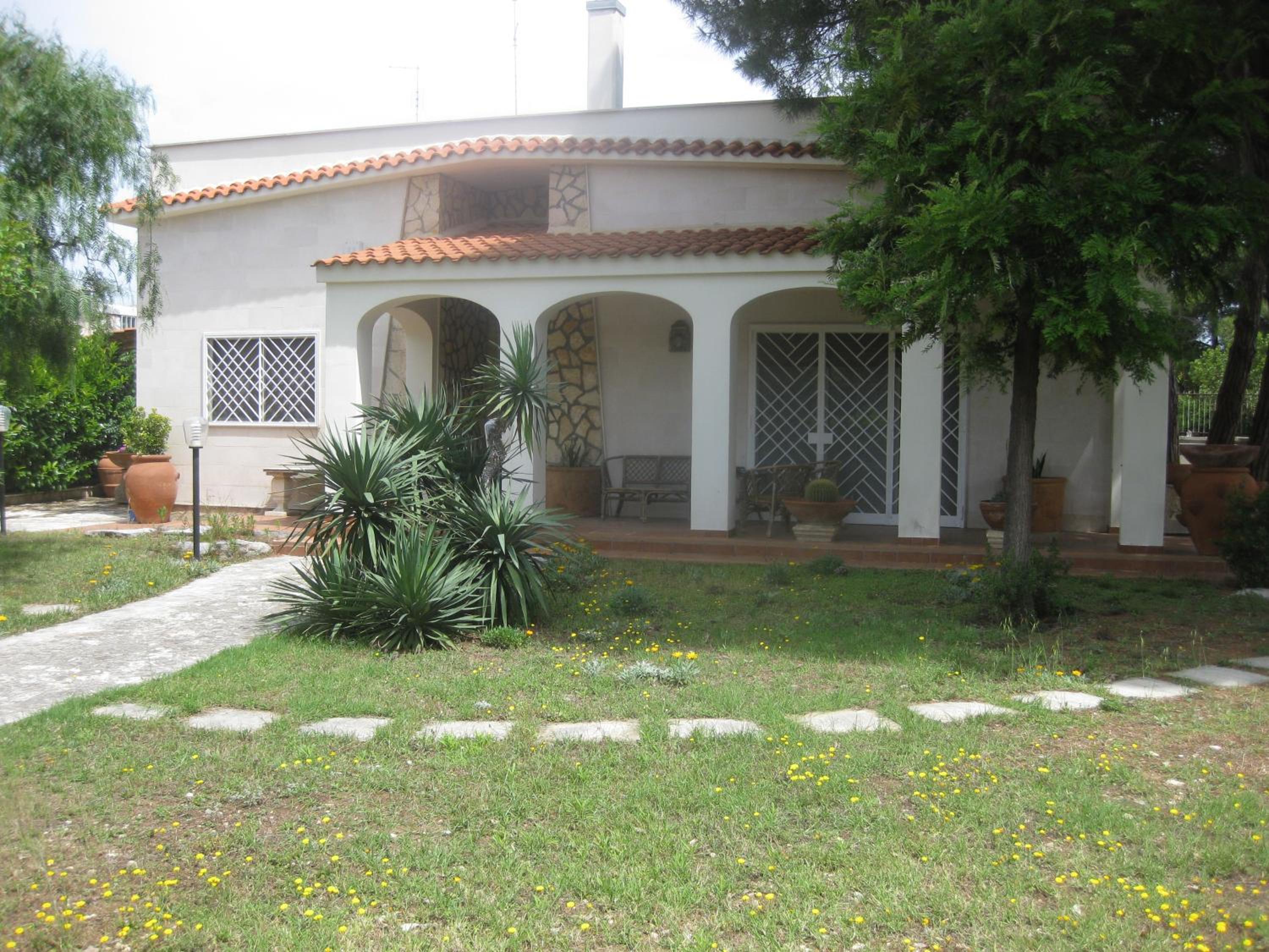 Photo 34