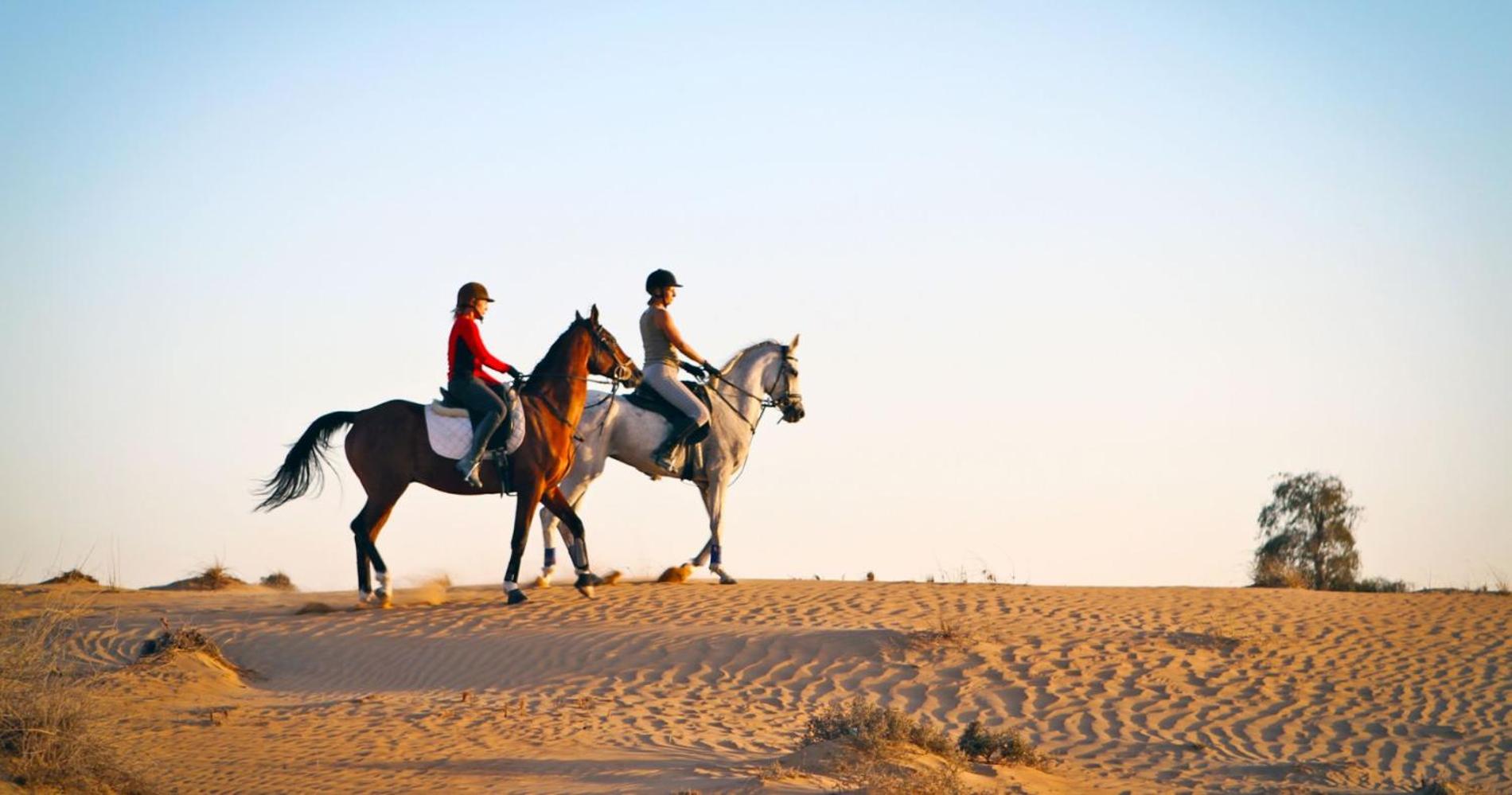 Al Damany Desert camp &Villa