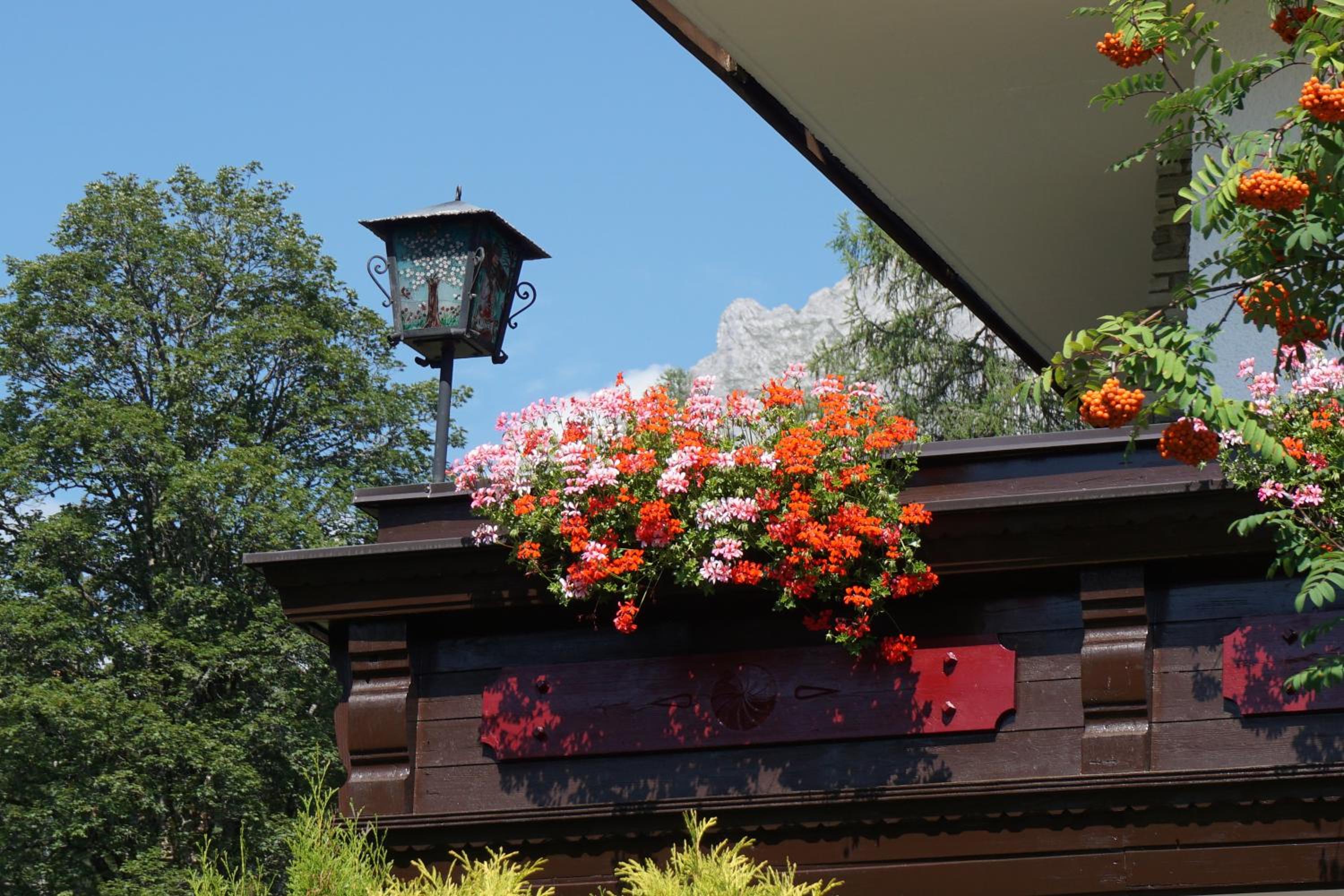 Pension Dachsteinhof