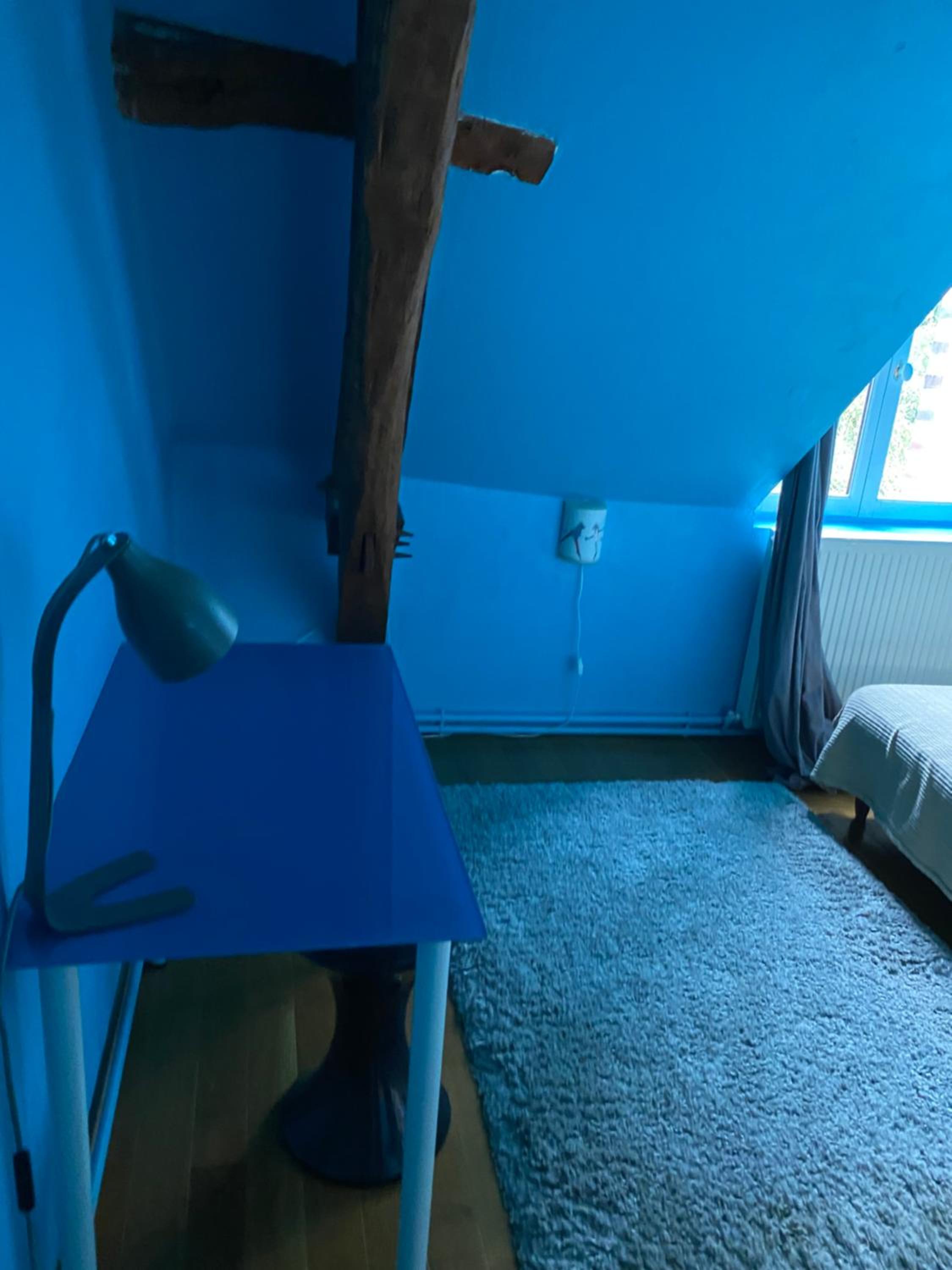 Photo 4