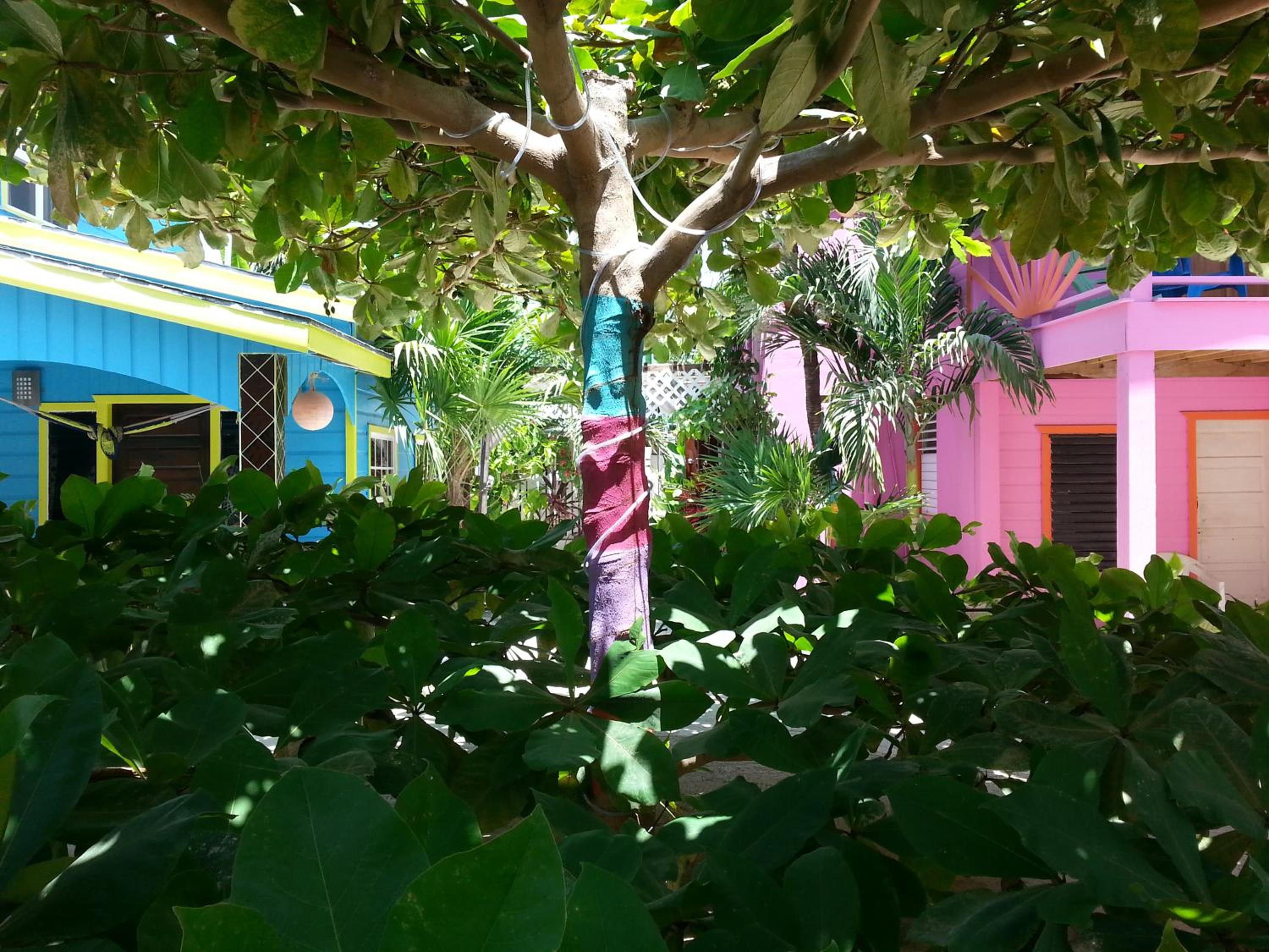 Sea n sun Guest House
