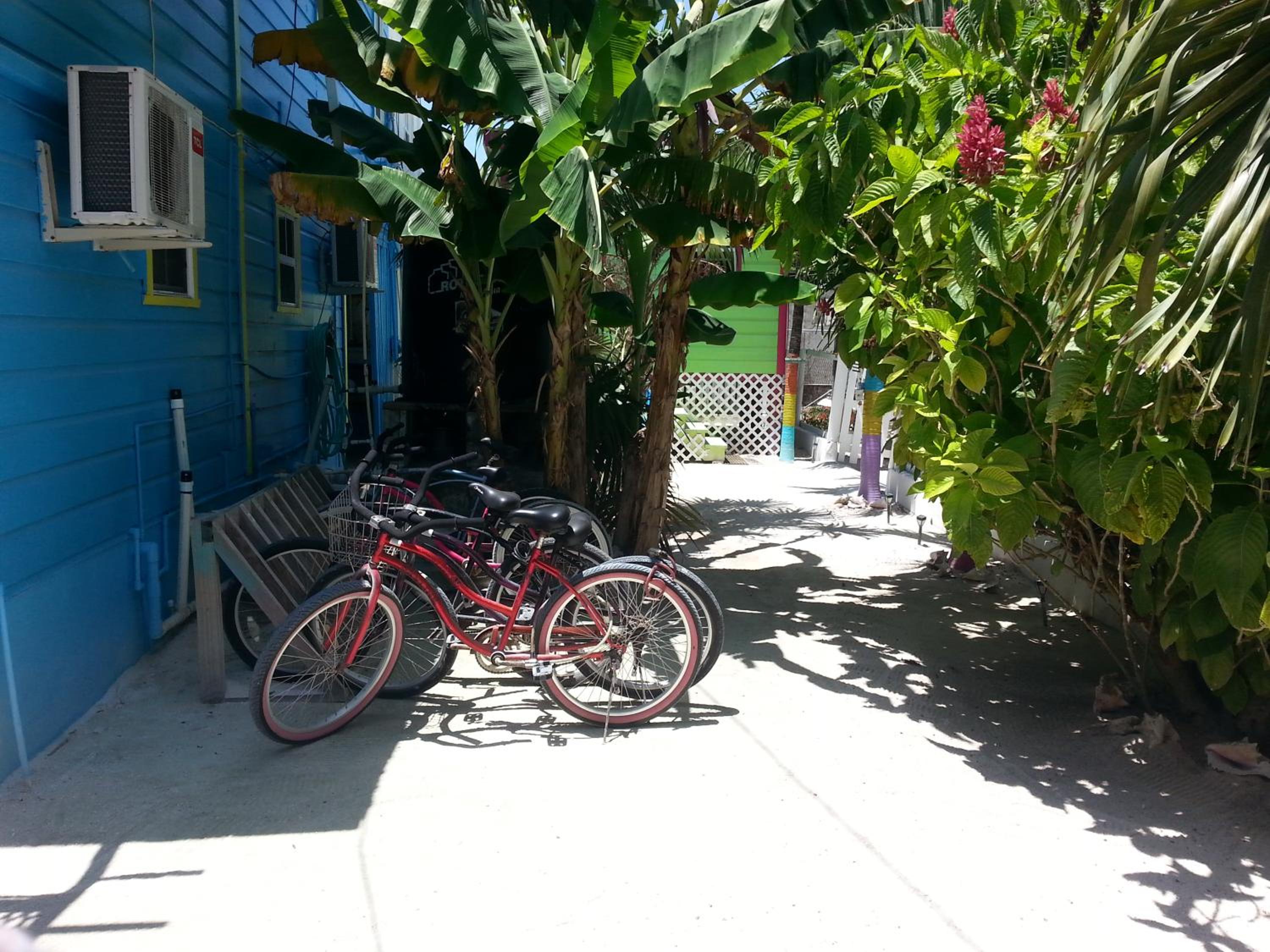 Sea n sun Guest House