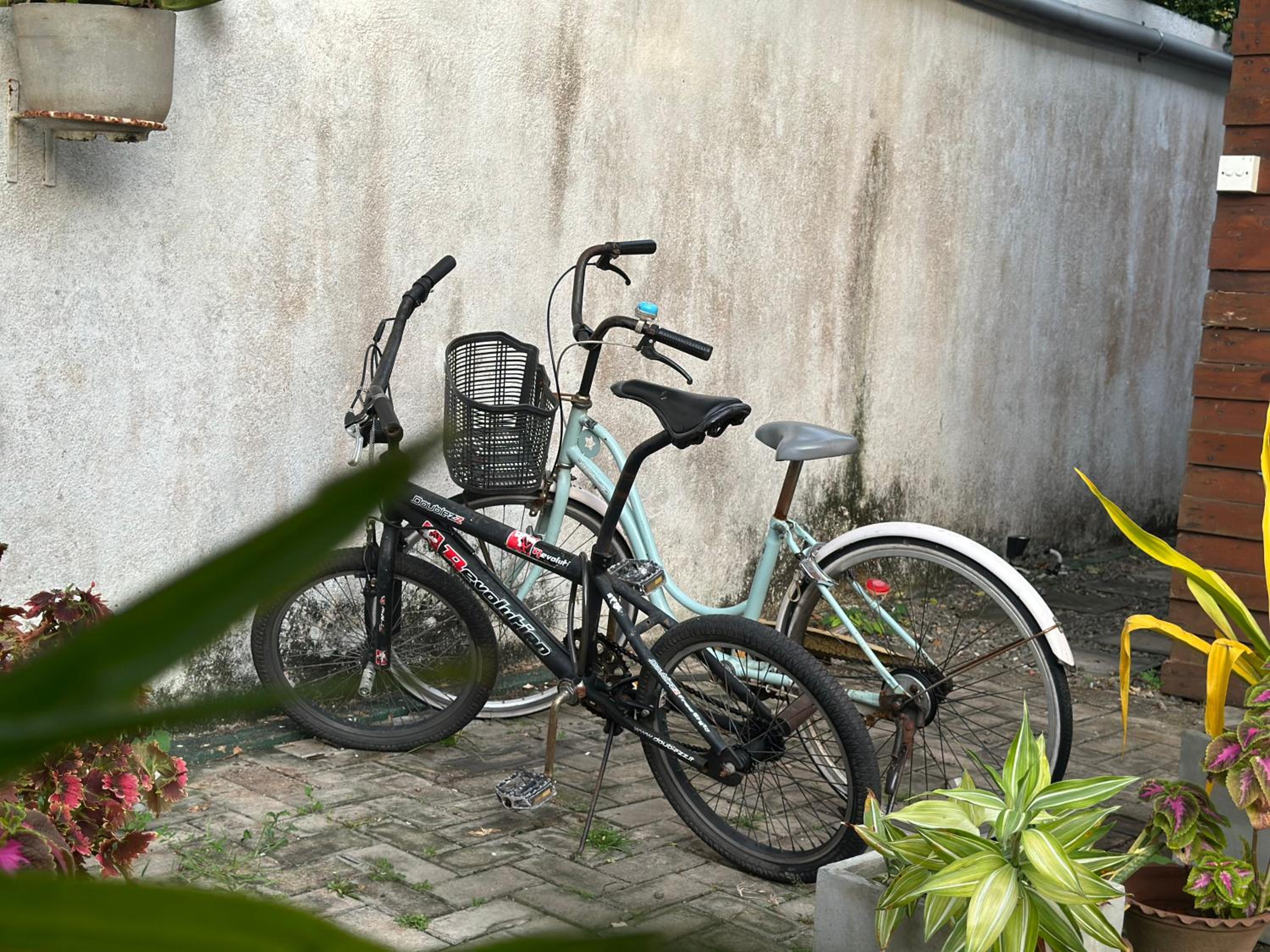 Photo 23
