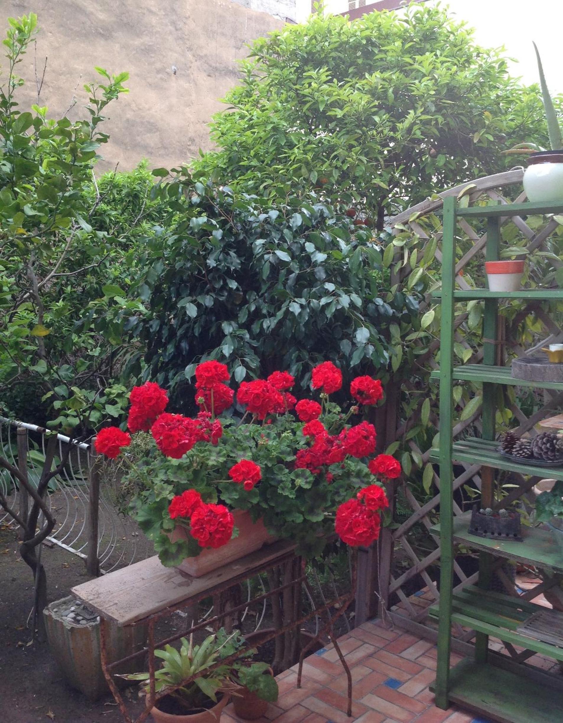 Photo 43