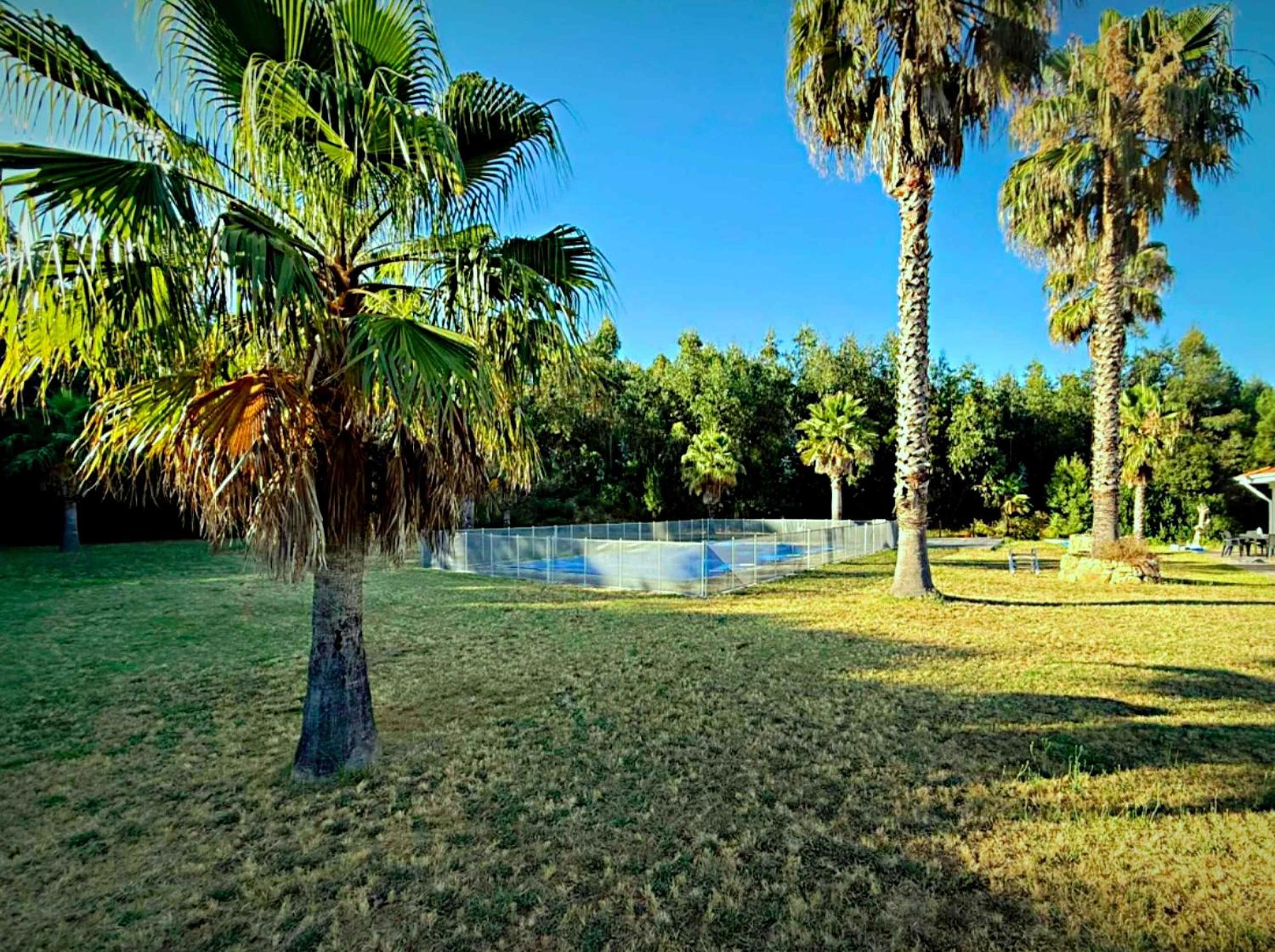 Liiiving in Porto - Quinta das Borboletas