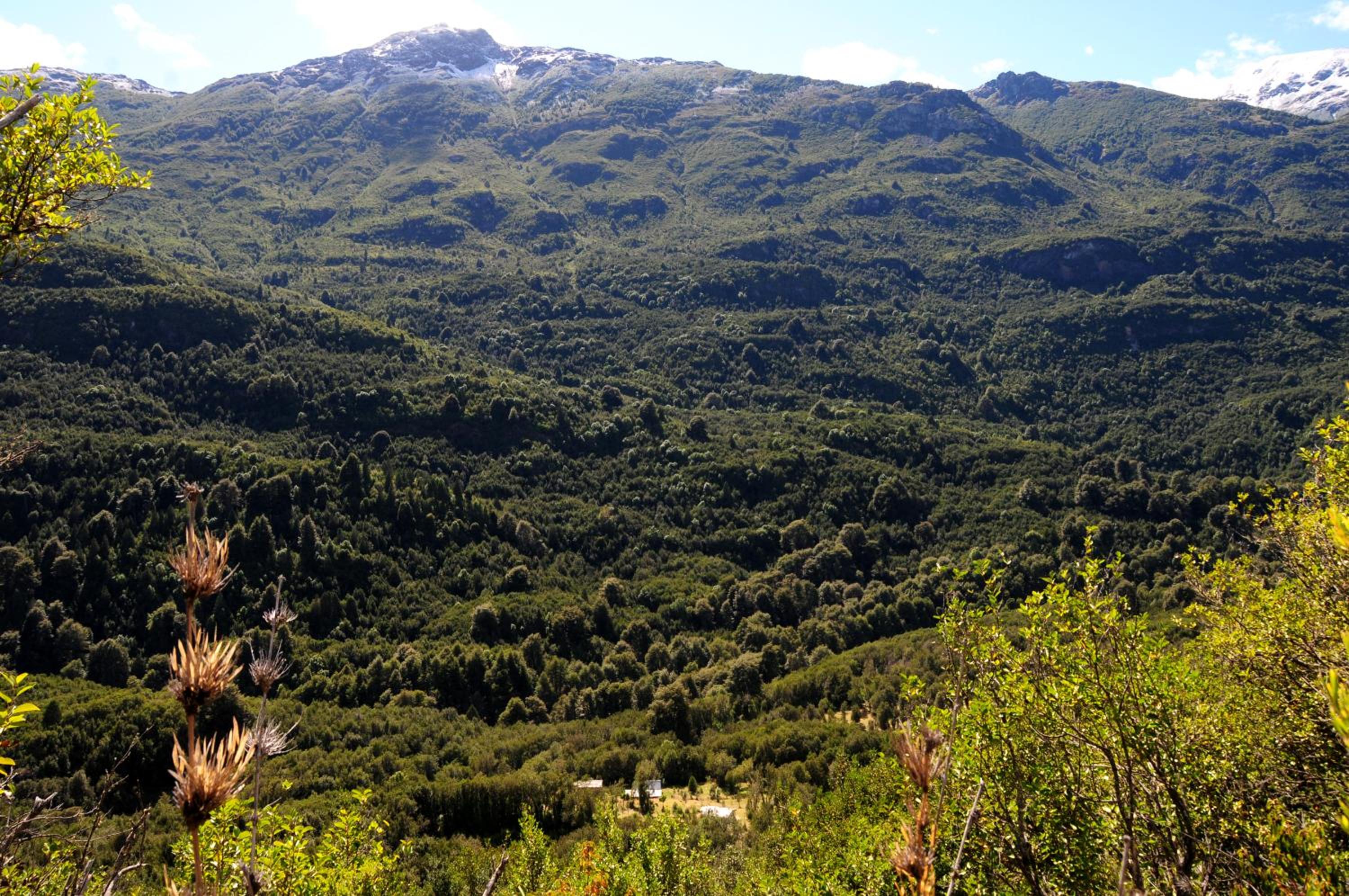 La Frontera Valle El Manso