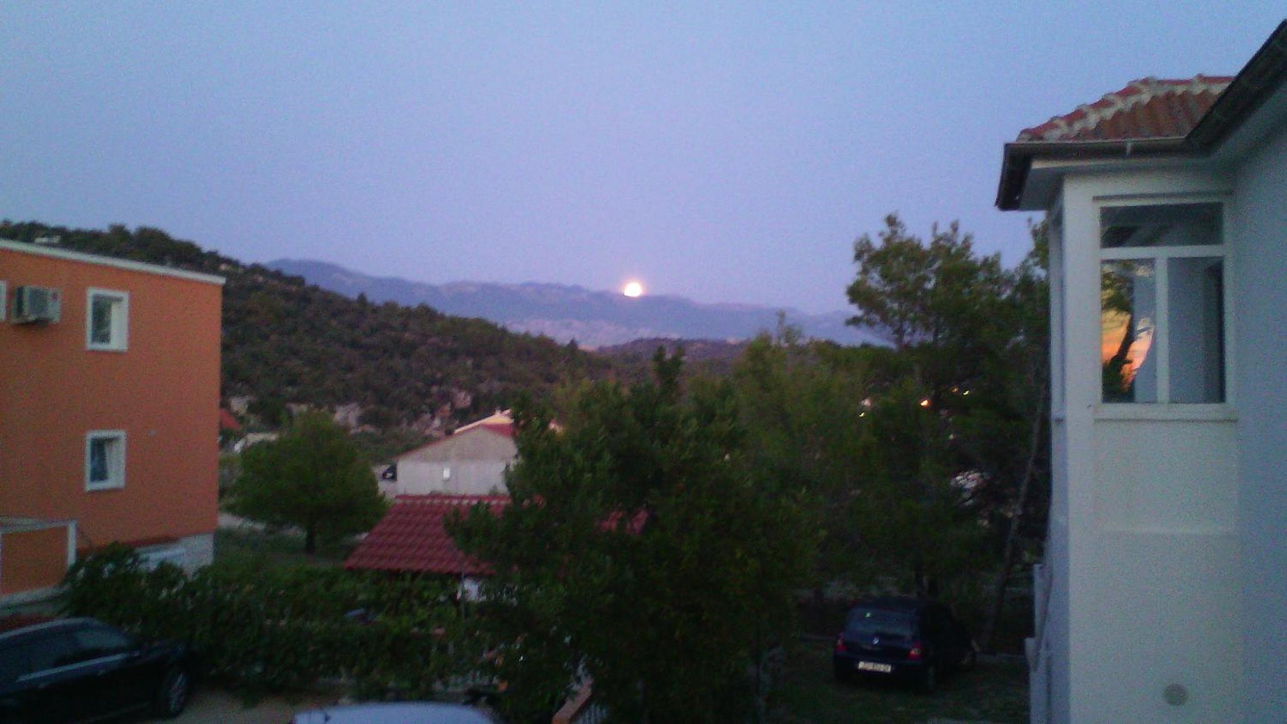 Photo 49