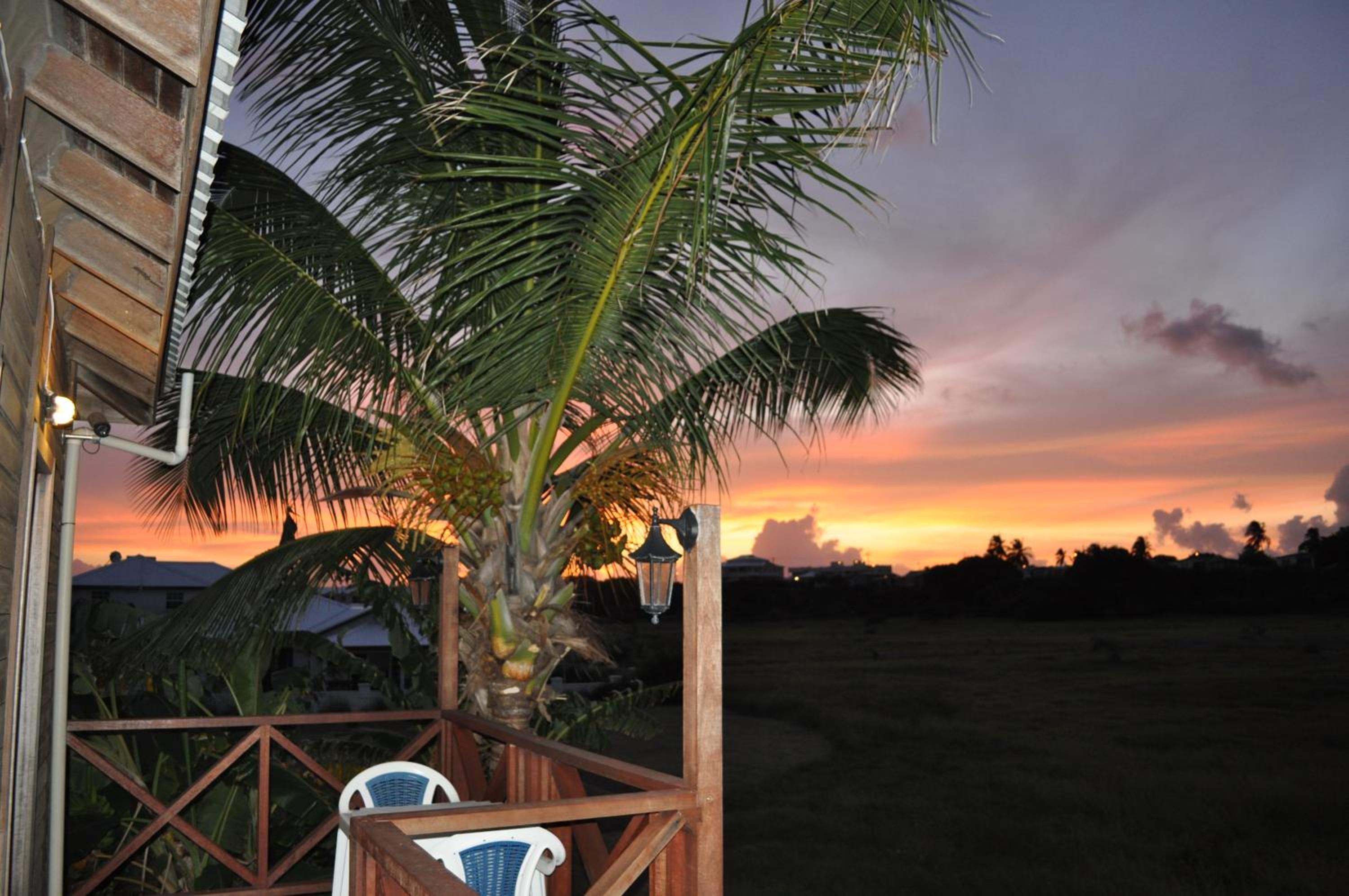 White Coconut Studio